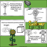 Sunflowers Mini Book for Early Readers