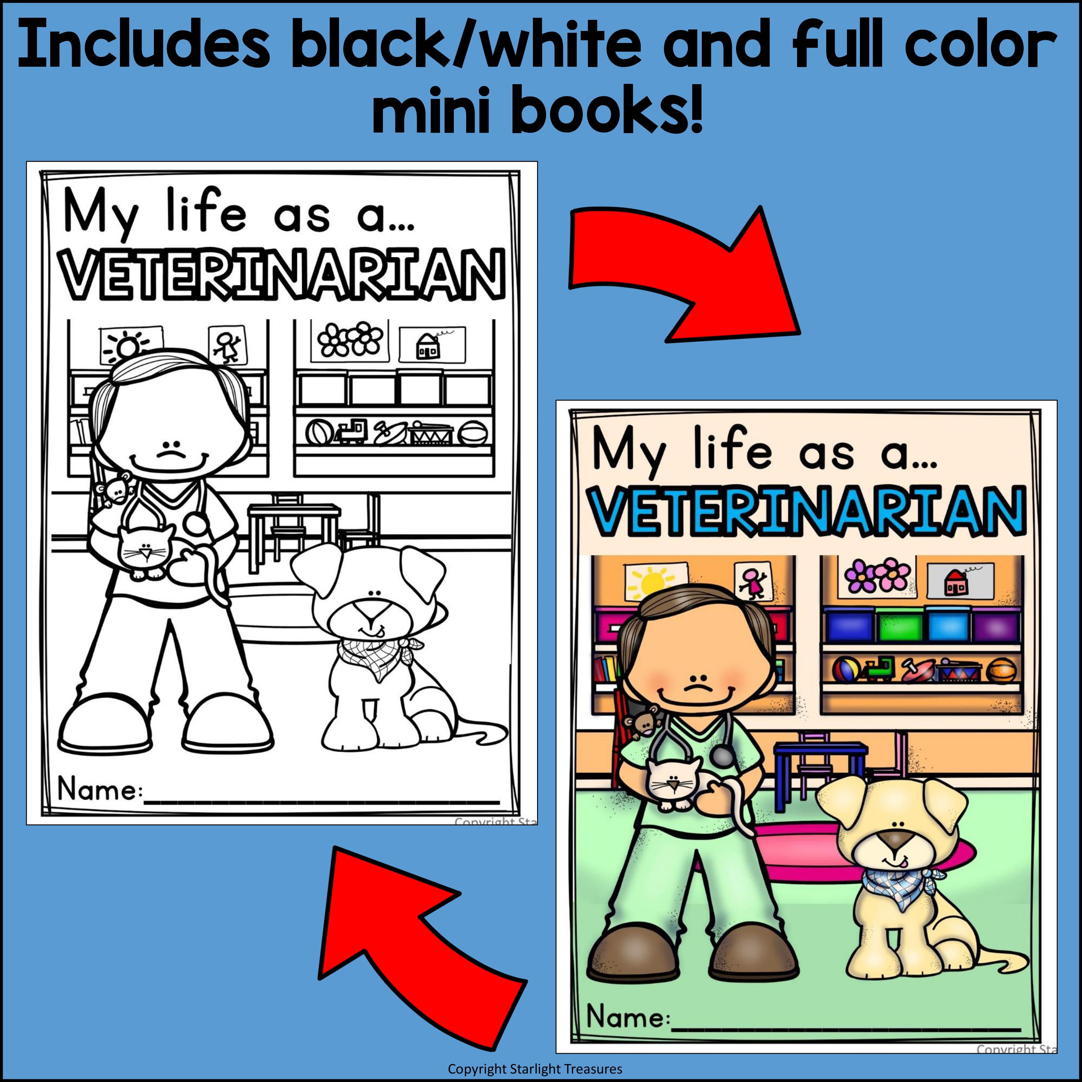 Veterinarian Mini Book for Early Readers