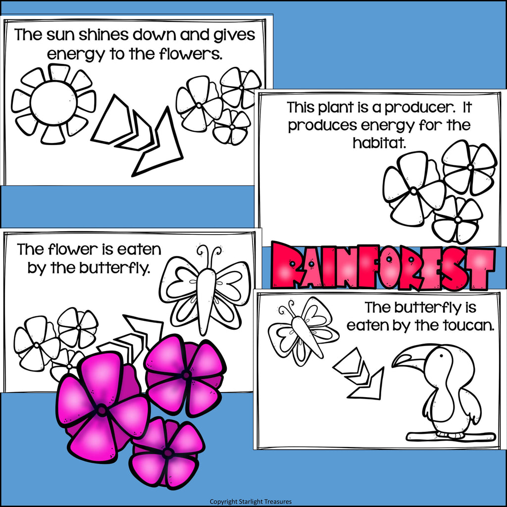 Rainforest Food Chain Mini Book for Early Readers - Food Chains