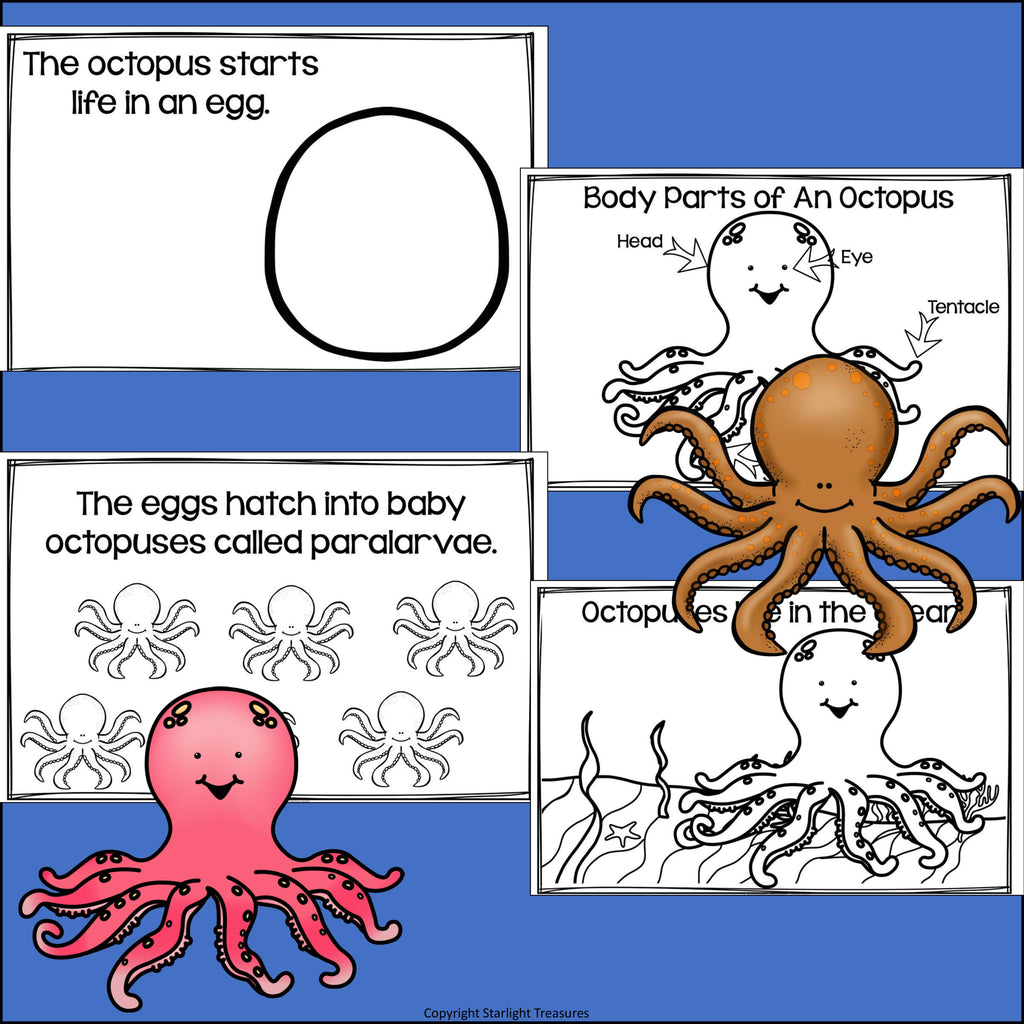 Octopus Mini Book for Early Readers
