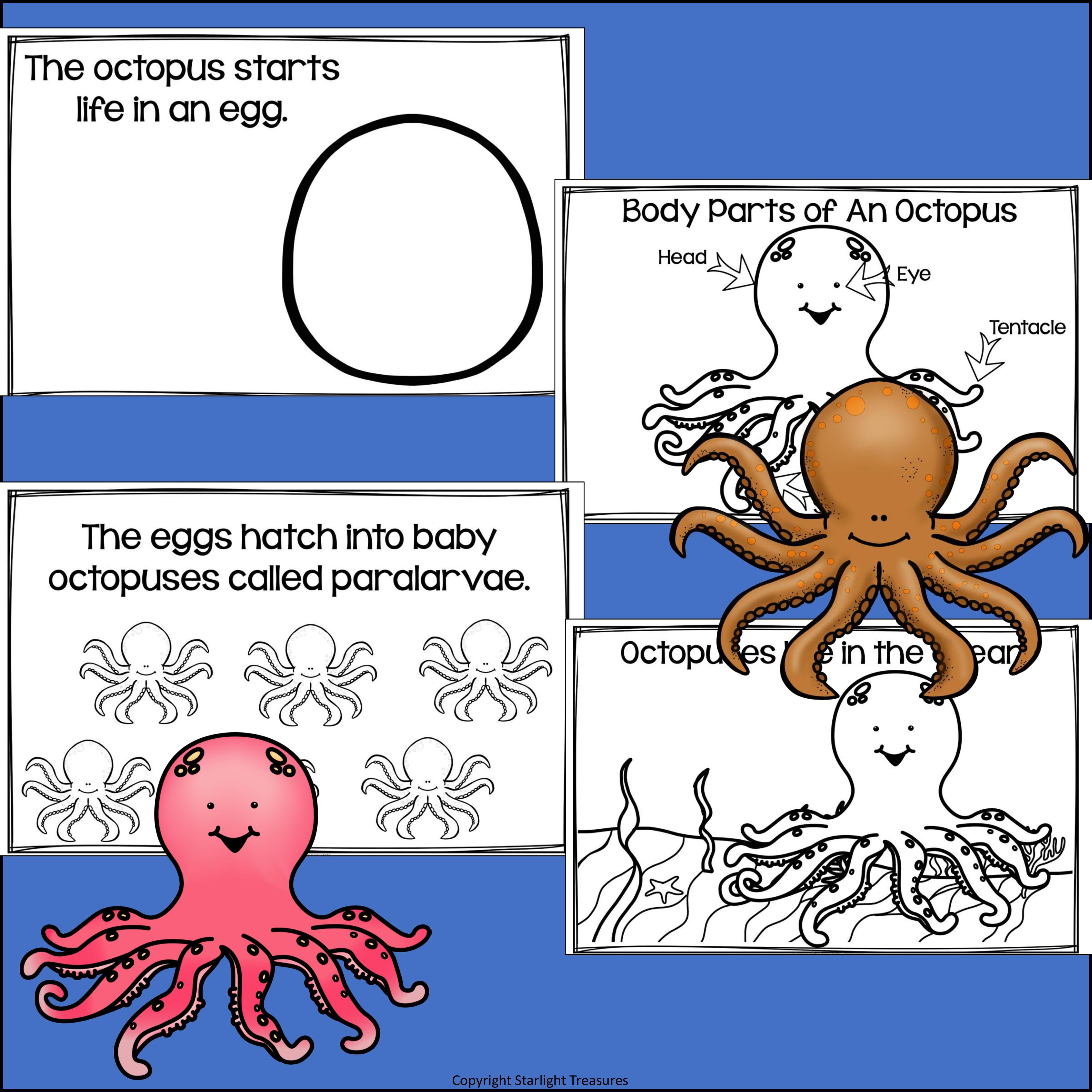 Octopus Mini Book for Early Readers