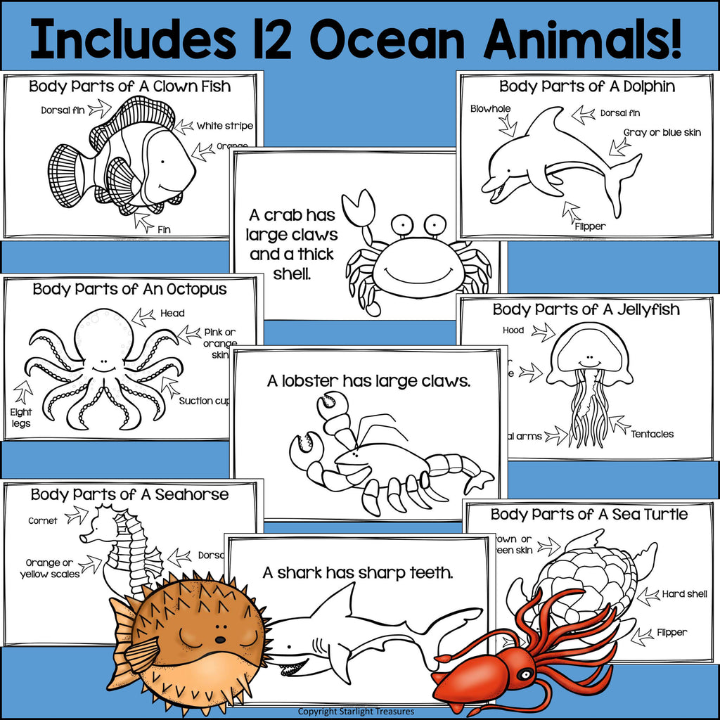 The Ocean Mini Book for Early Readers: Ocean Animals