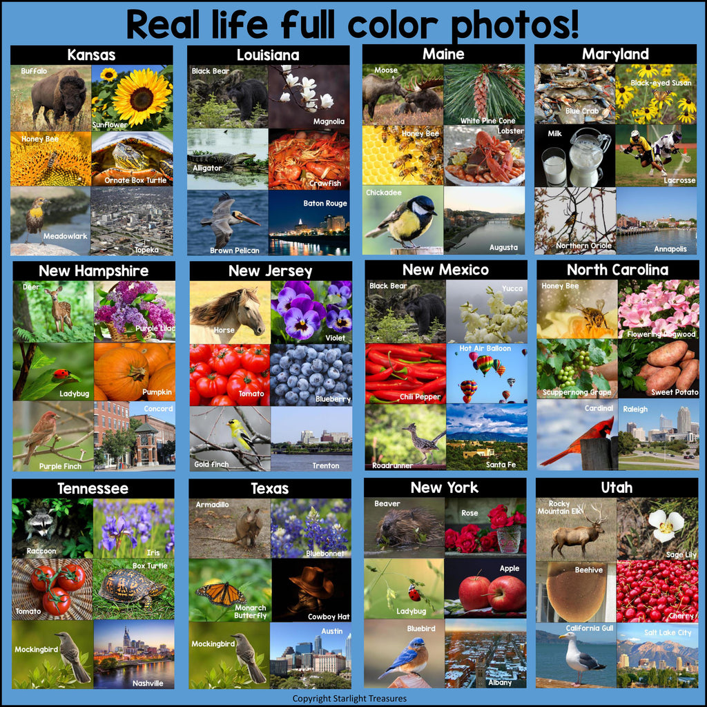 50 states photo post collages