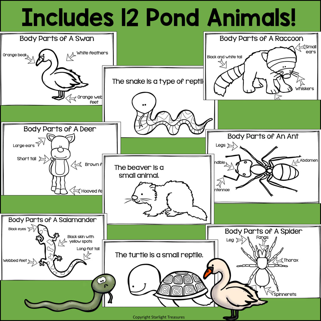 The Pond Mini Book for Early Readers: Pond Animals