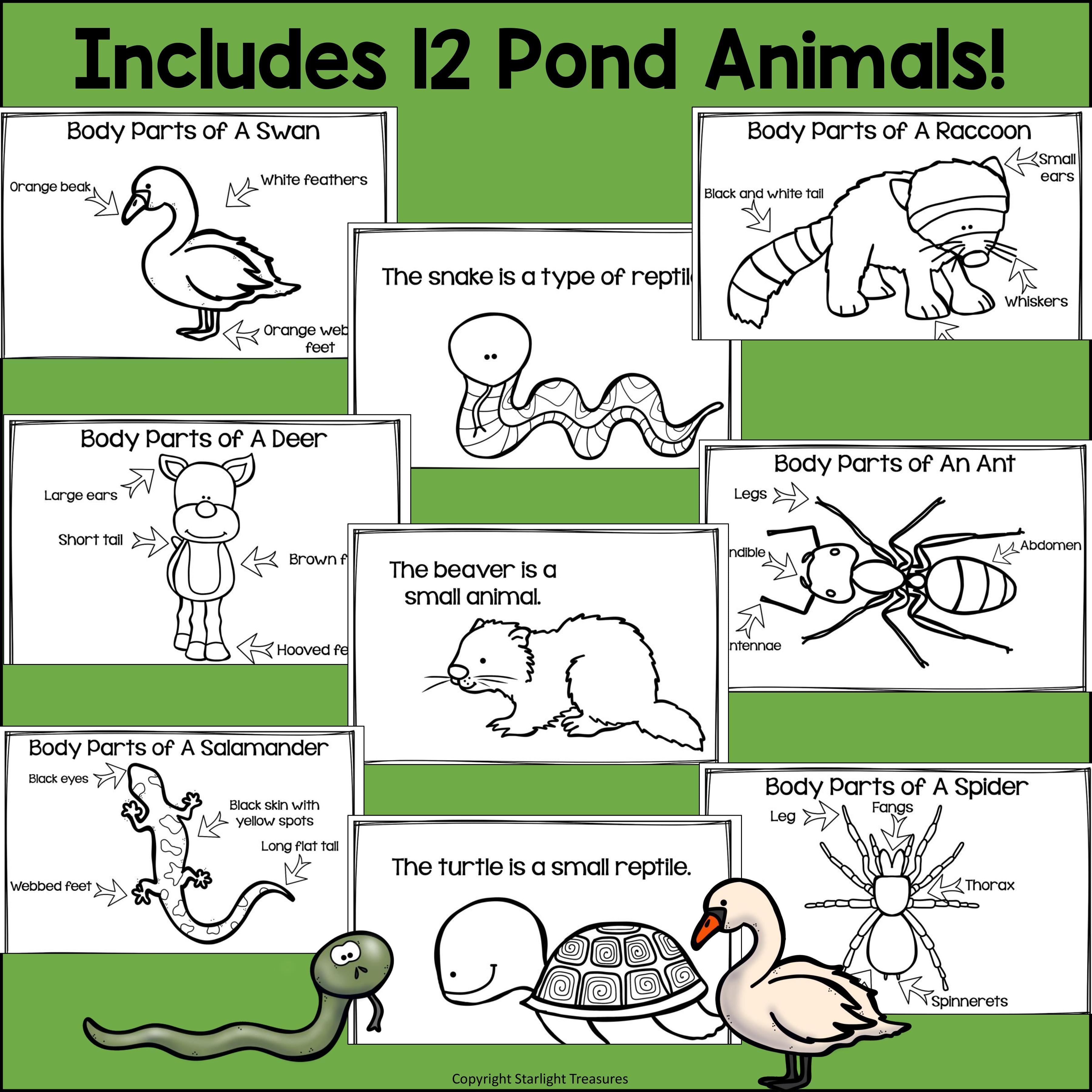 The Pond Mini Book for Early Readers: Pond Animals