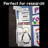 Penguins Lapbook for Early Learners 
