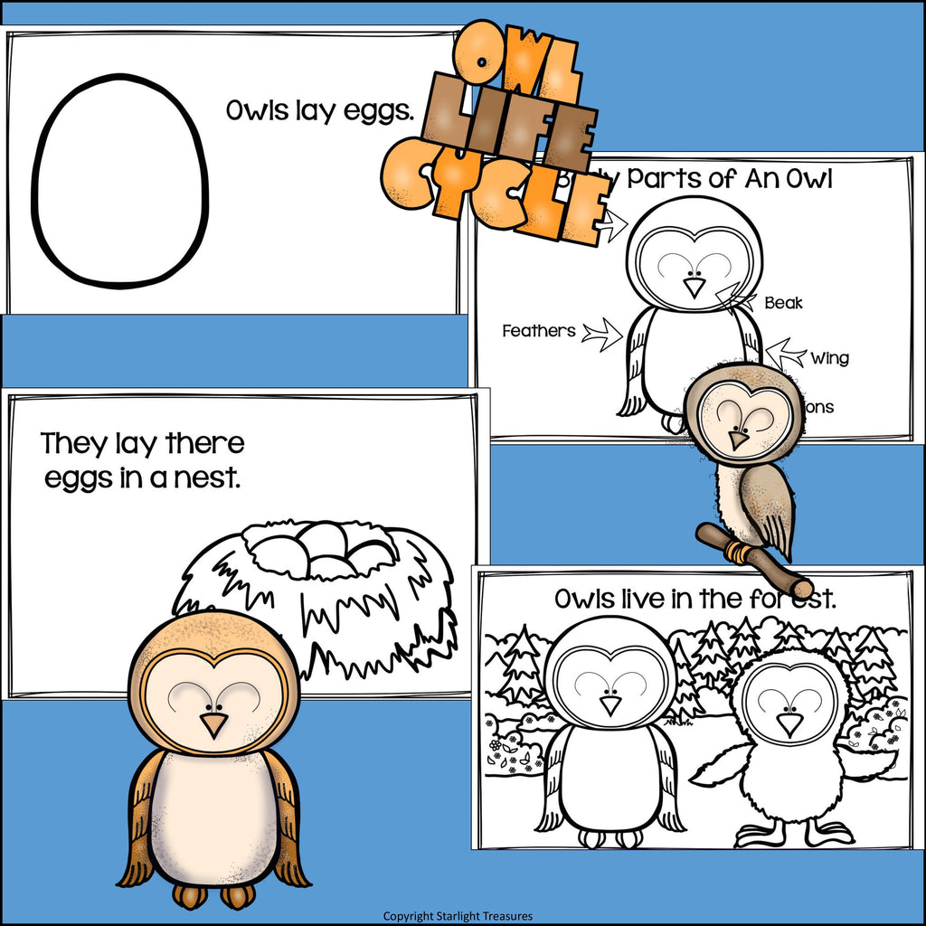 Owls Mini Book for Early Readers