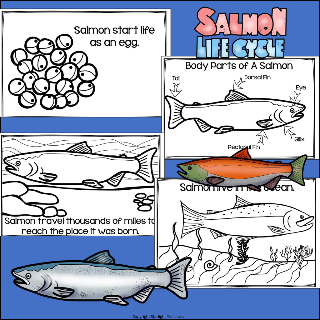 Salmon Mini Book for Early Readers
