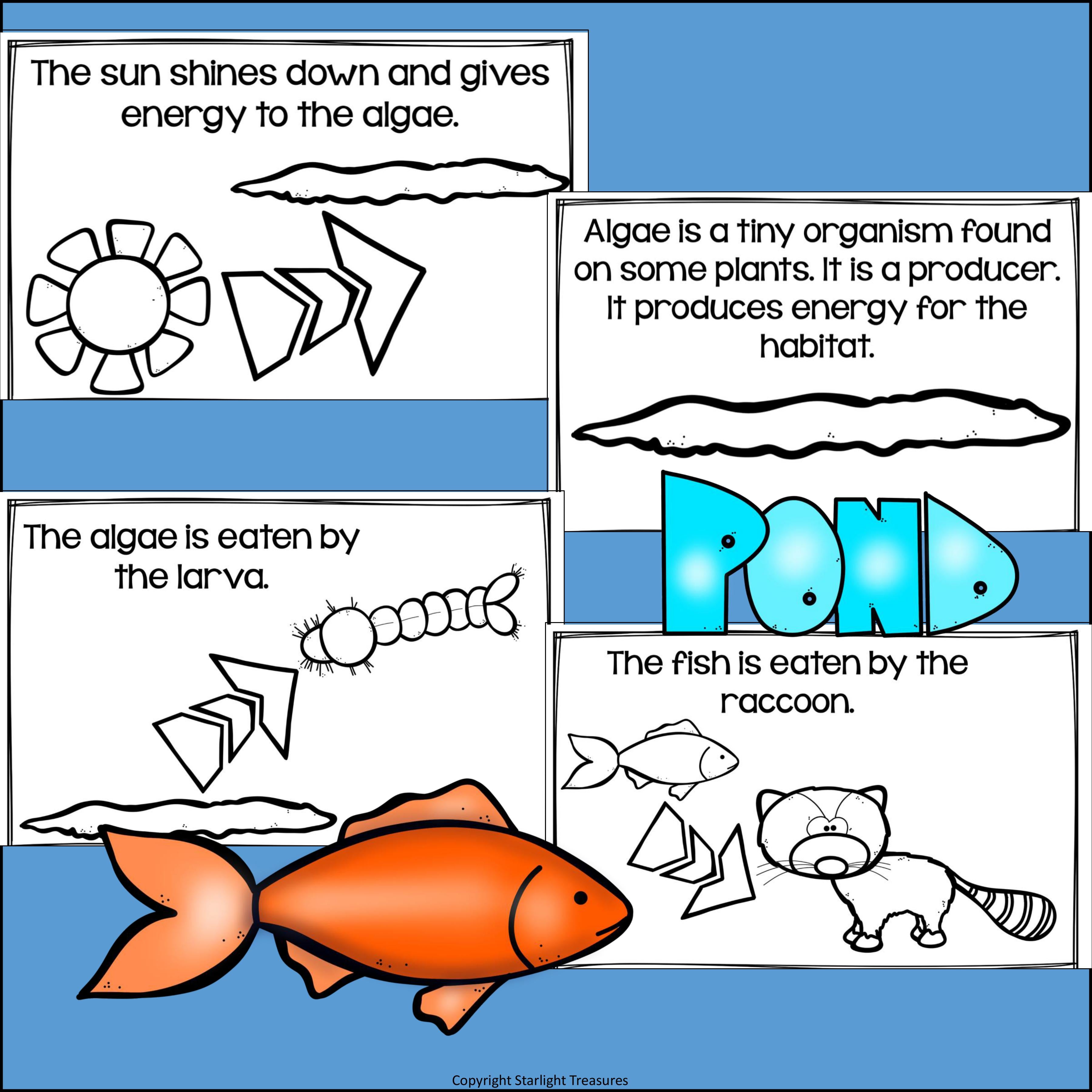Pond Food Chain Mini Book for Early Readers - Food Chains