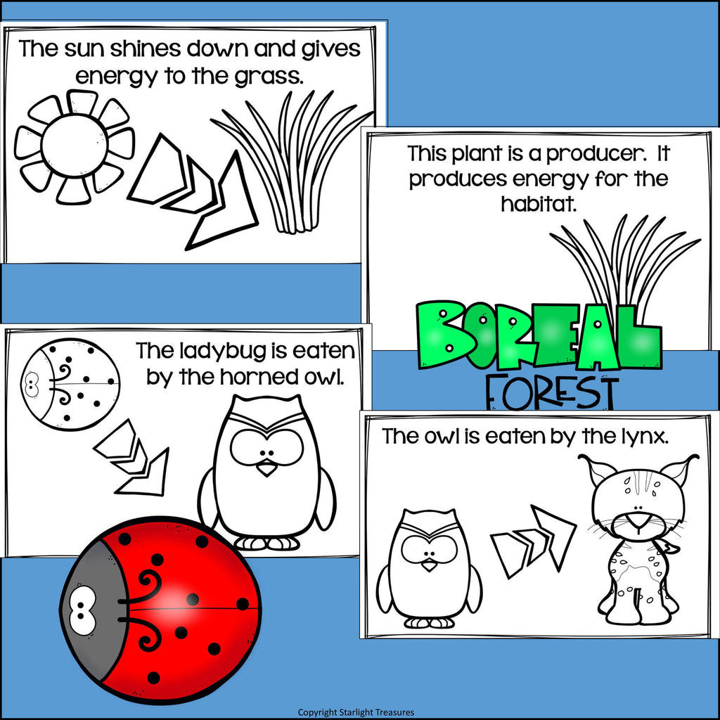 Boreal Forest Food Chain Mini Book for Early Reader