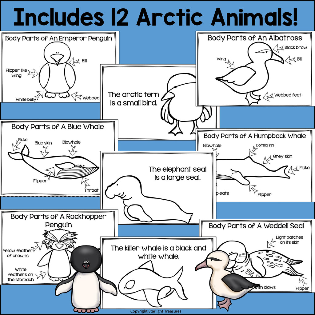 The Antarctic Mini Book for Early Readers: Antarctic Animals