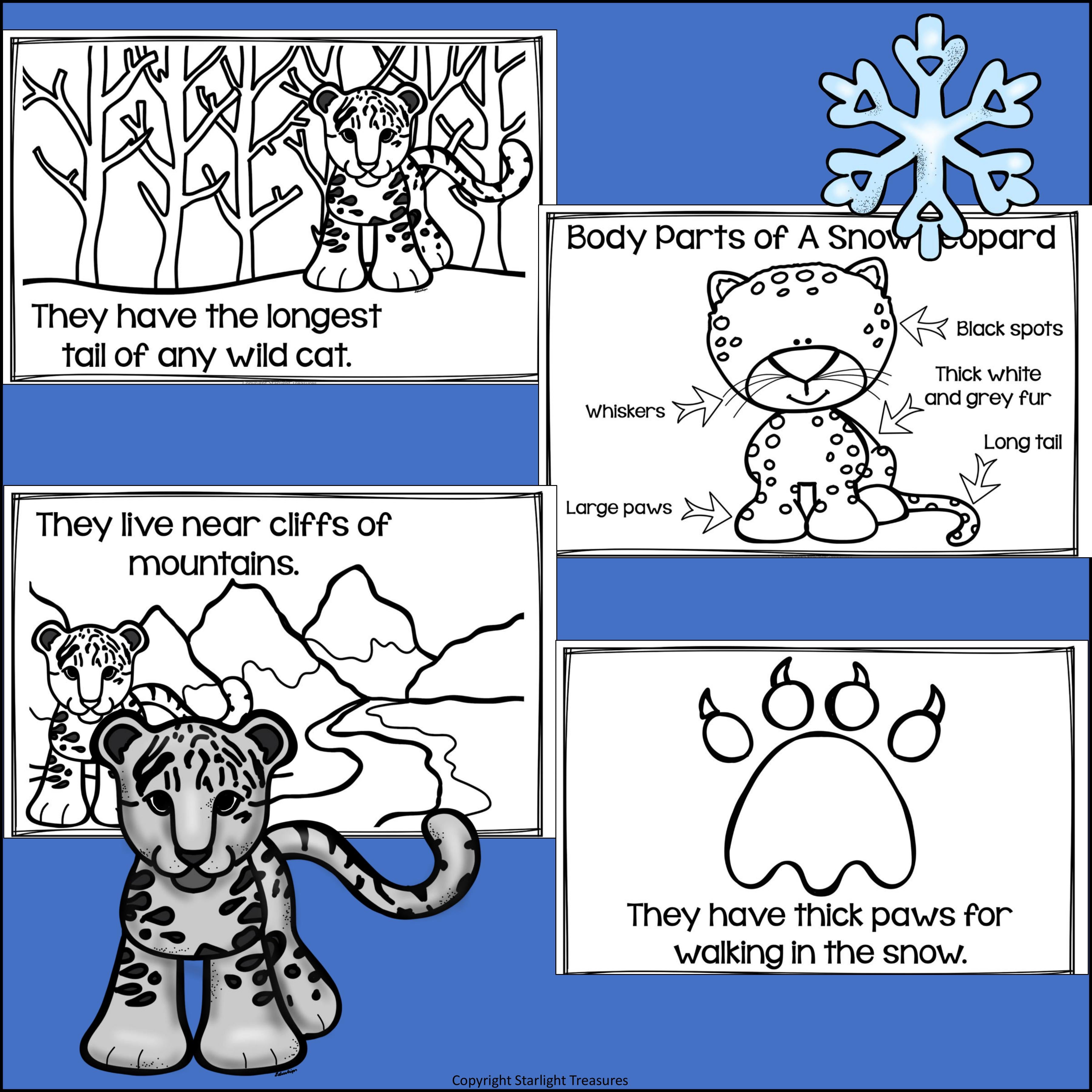 Snow Leopard Mini Book for Early Readers