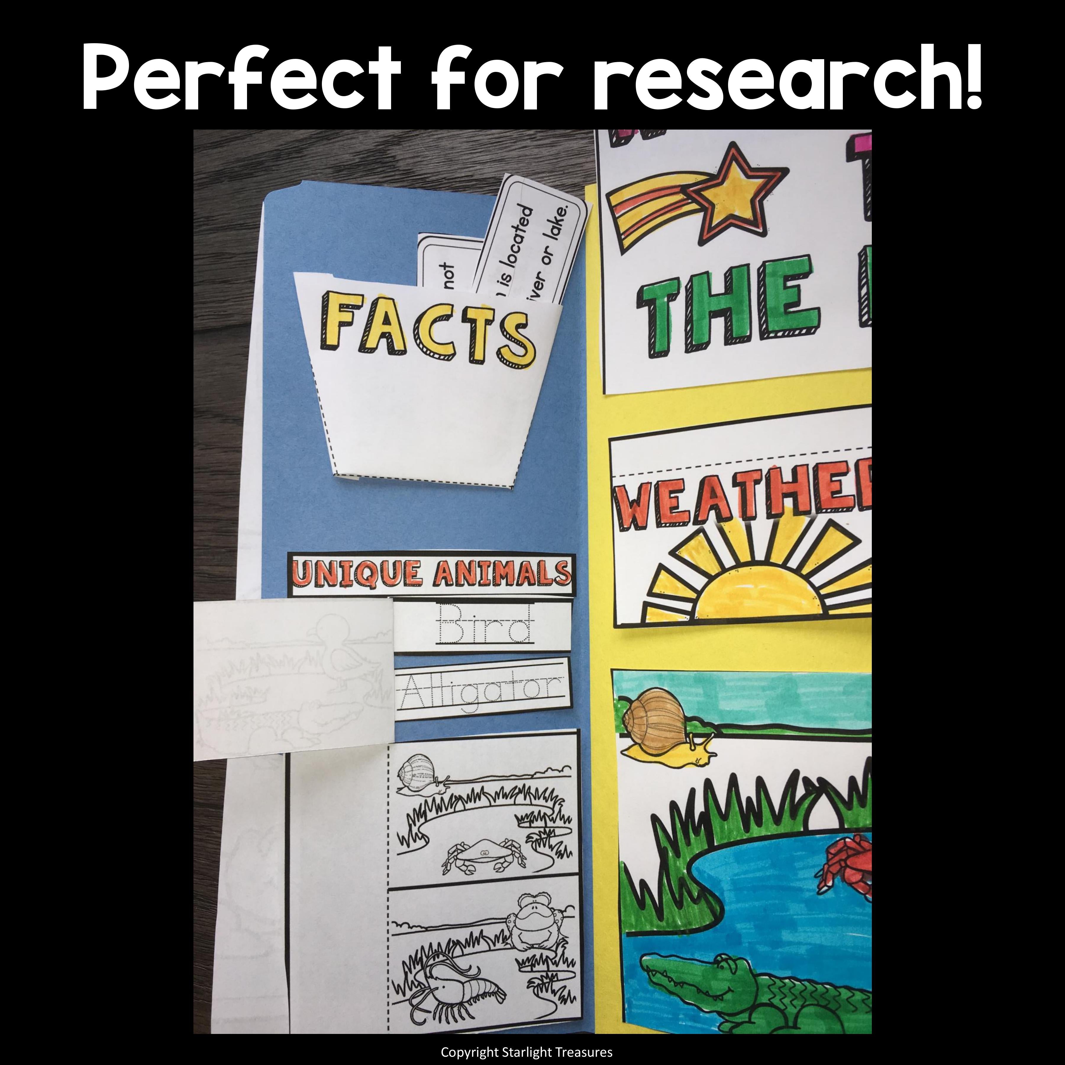 Marsh Lapbook for Early Learners - Animal Habitats
