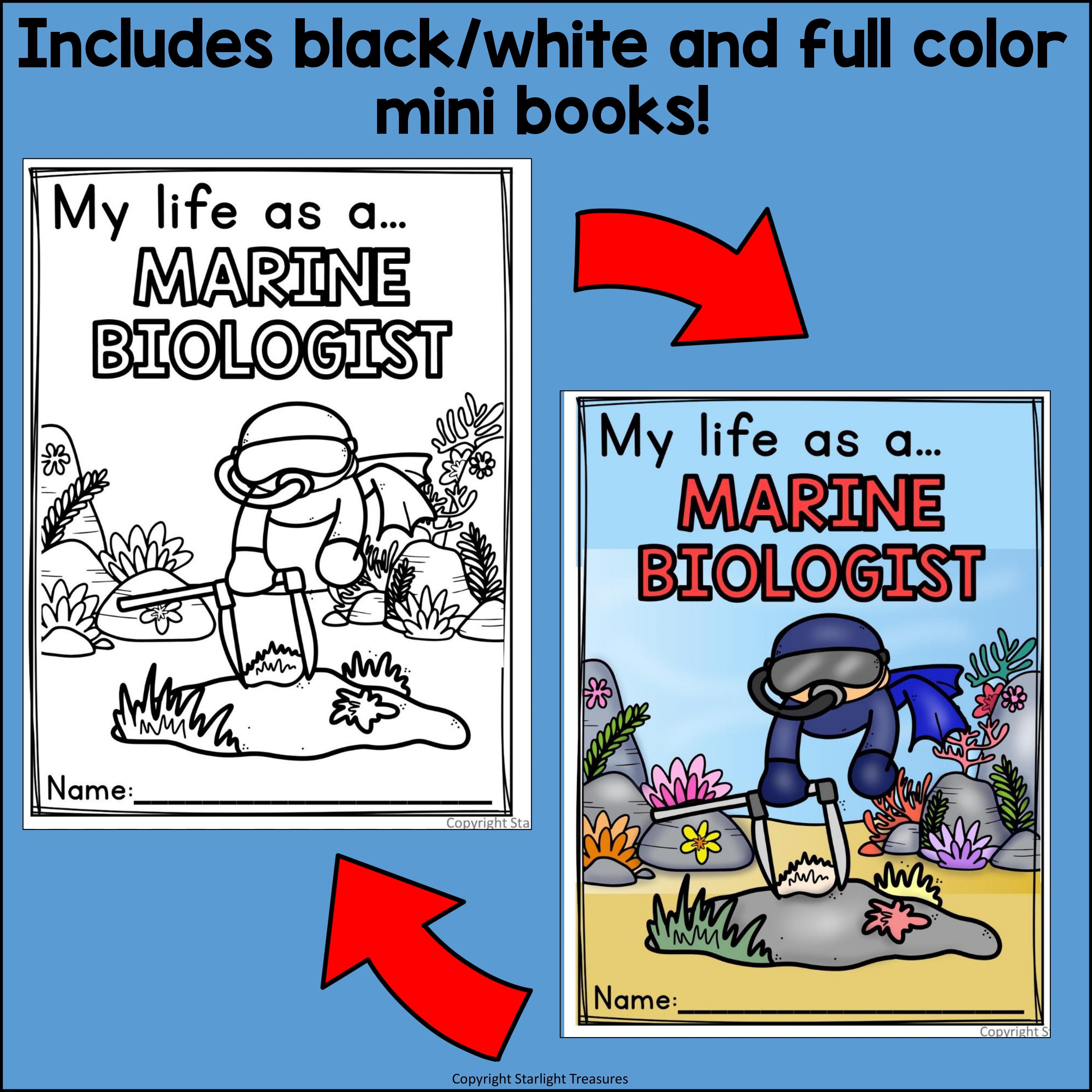 Marine Biologist Mini Book for Early Readers - Types of Scientists