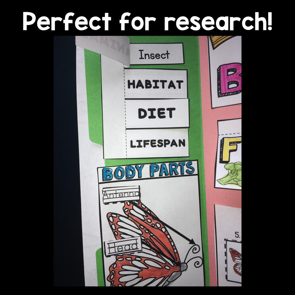 Butterflies Lapbook for Early Learners 
