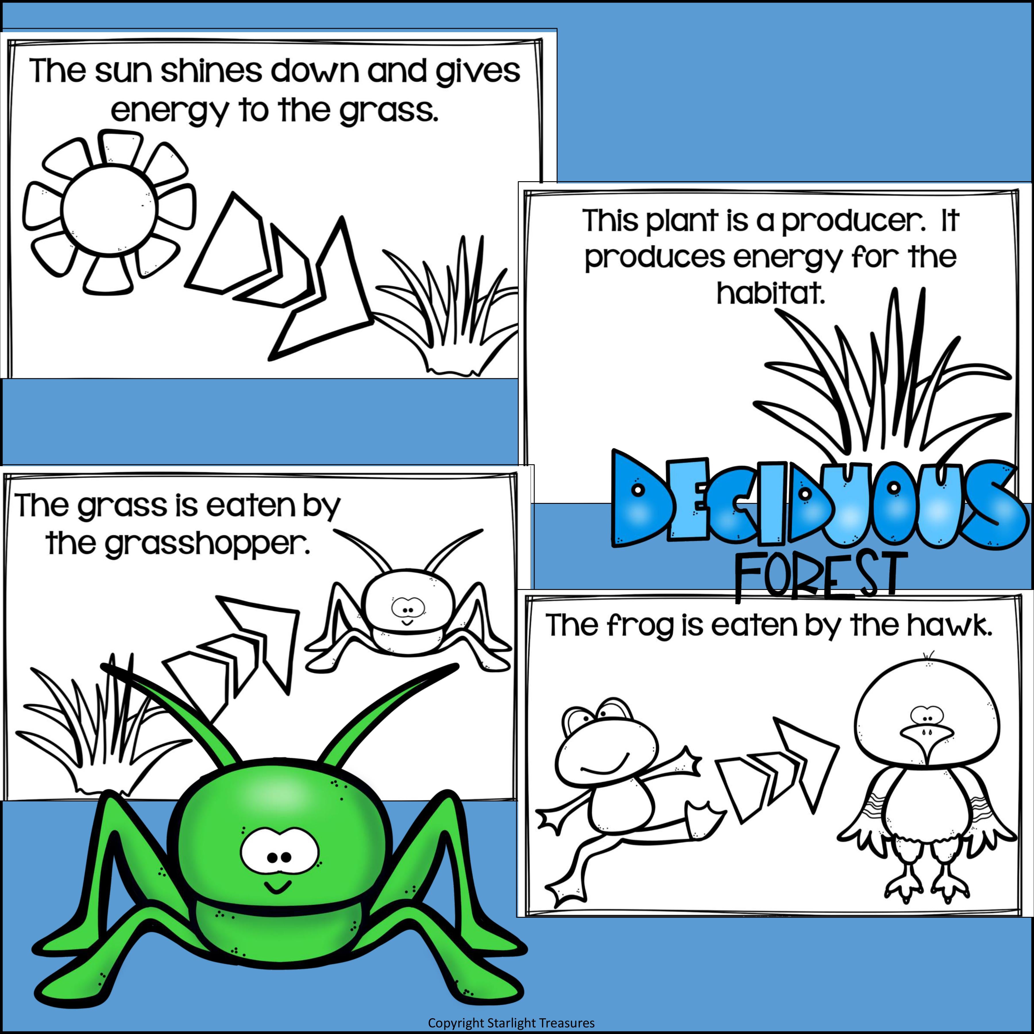 Deciduous Forest Food Chain Mini Book for Early Readers - Food Chains