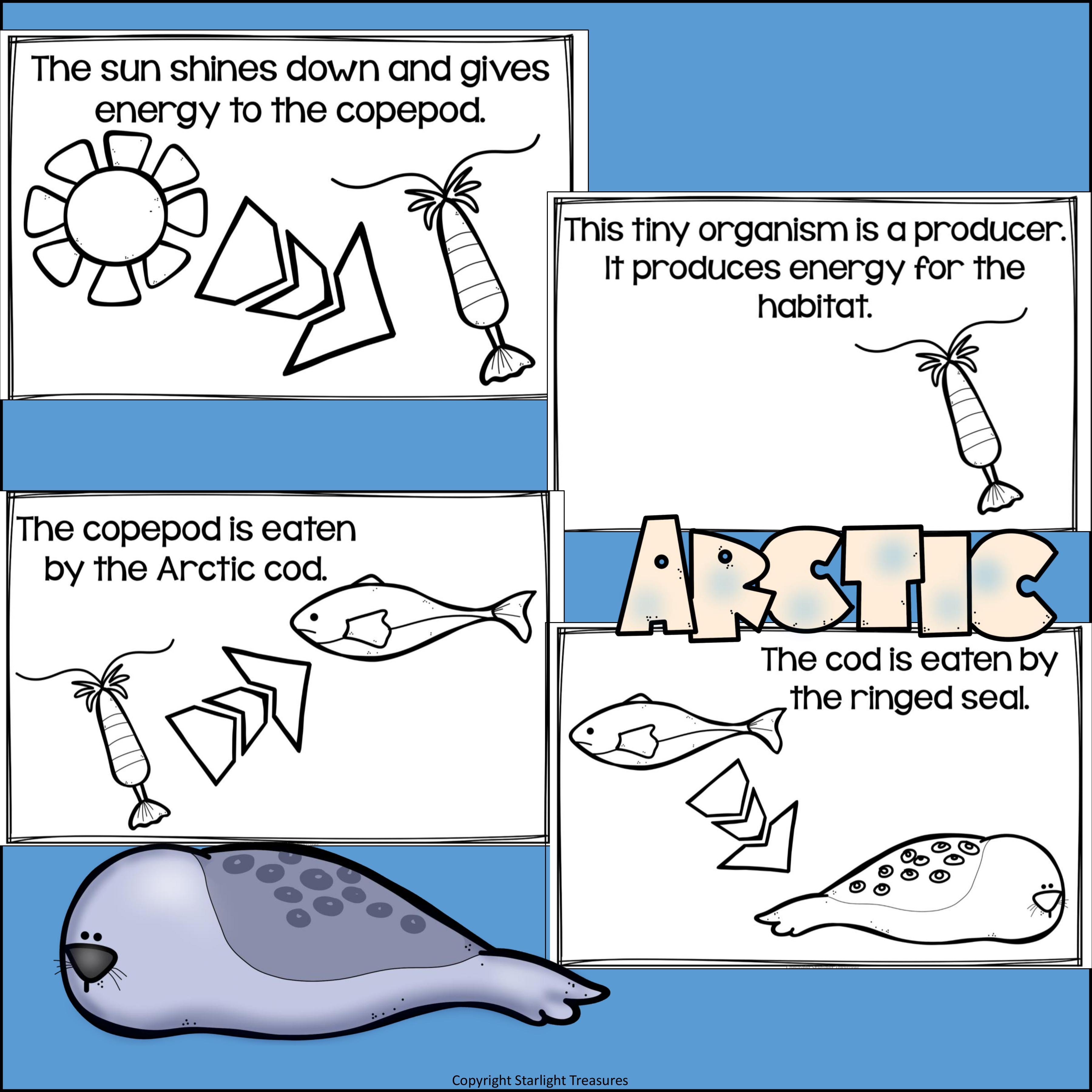 Arctic Food Chain Mini Book for Early Reader