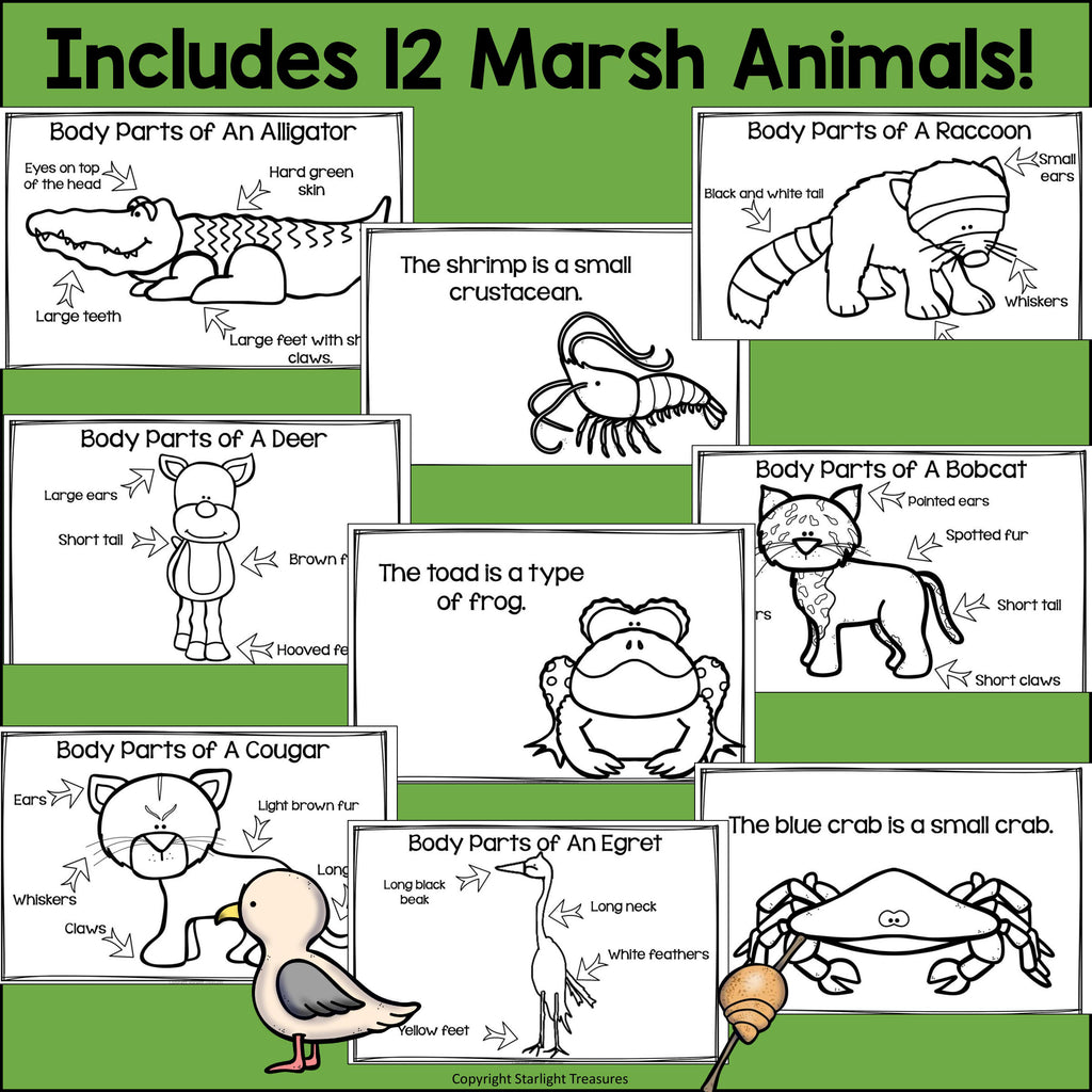 The Marsh Mini Book for Early Readers: Marsh Animals