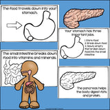 Human Body Systems: Digestive System Mini Book for Early Readers