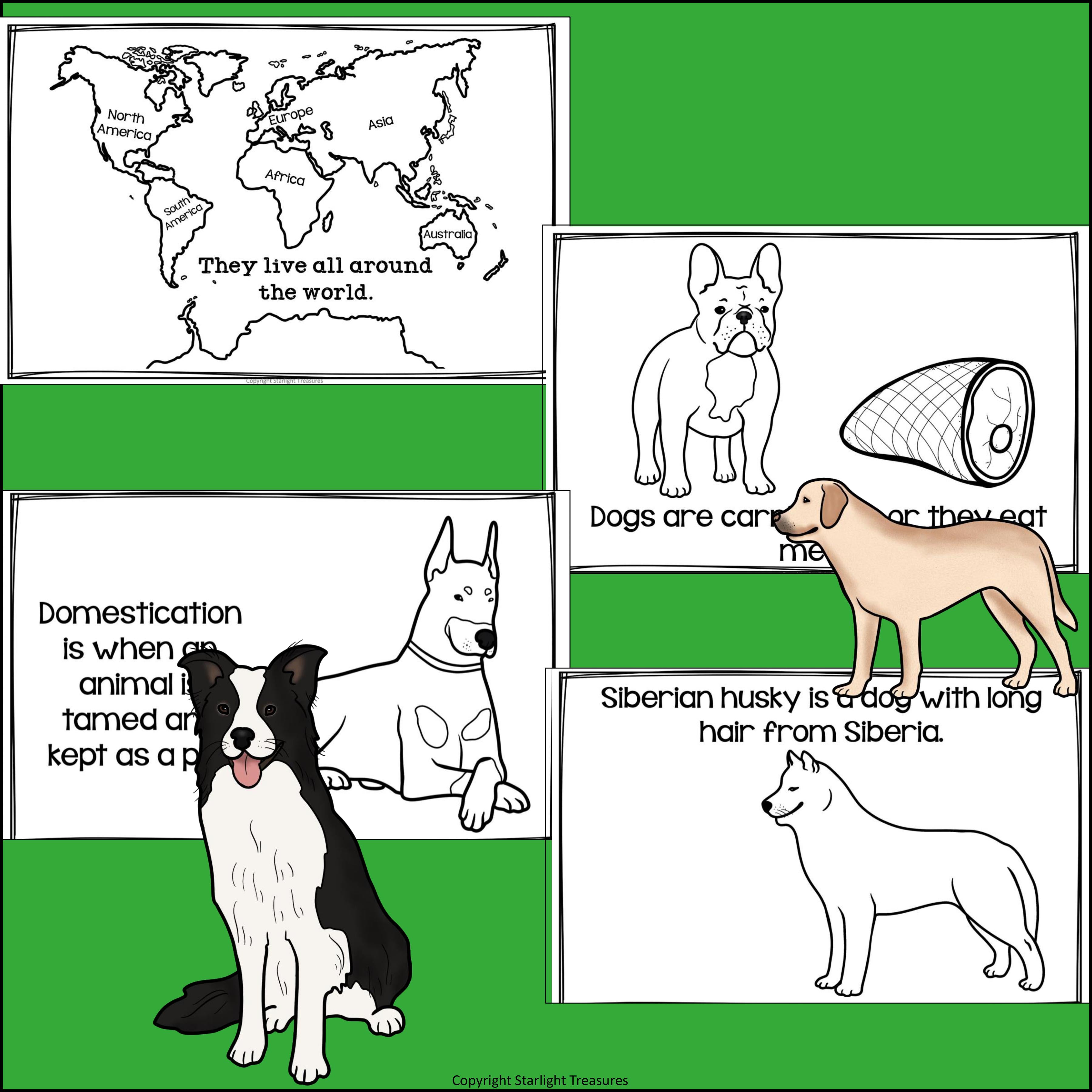 Dogs Mini Book for Early Readers