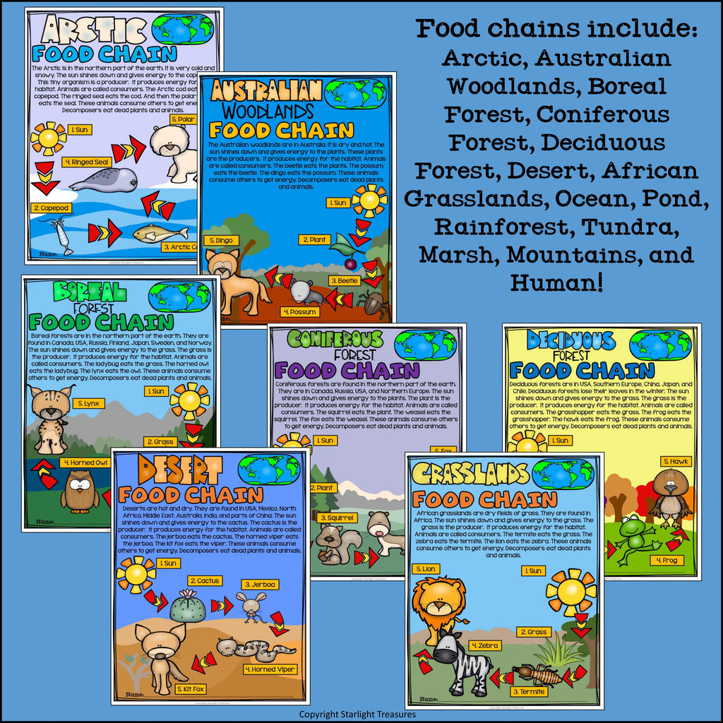 Food Chains Fact Sheets:
