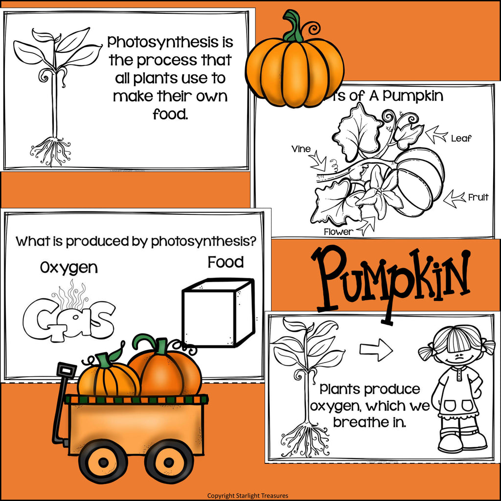 Pumpkins Mini Book for Early Readers