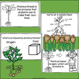 Potato Mini Book for Early Readers