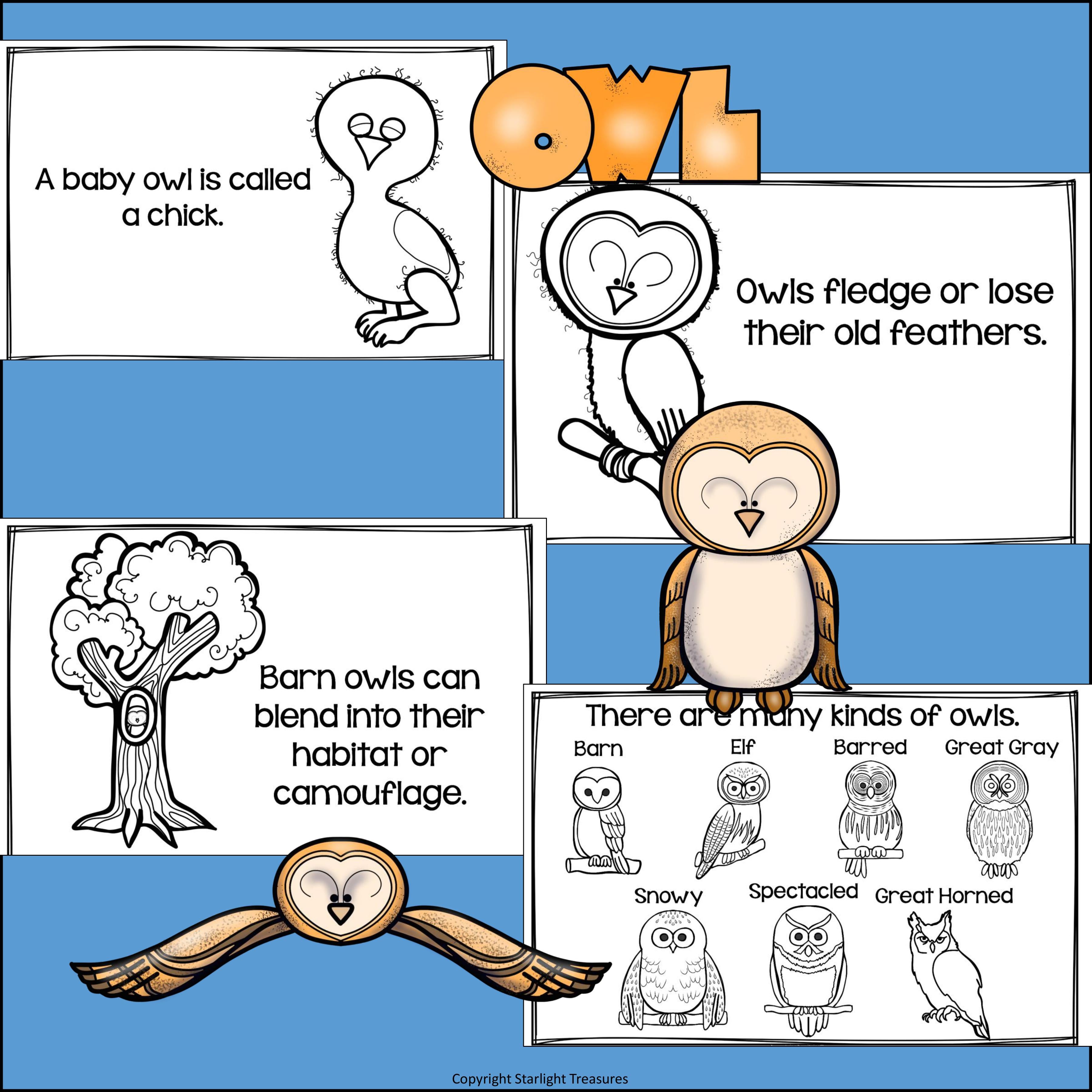 Owls Mini Book for Early Readers