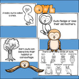 Owls Mini Book for Early Readers
