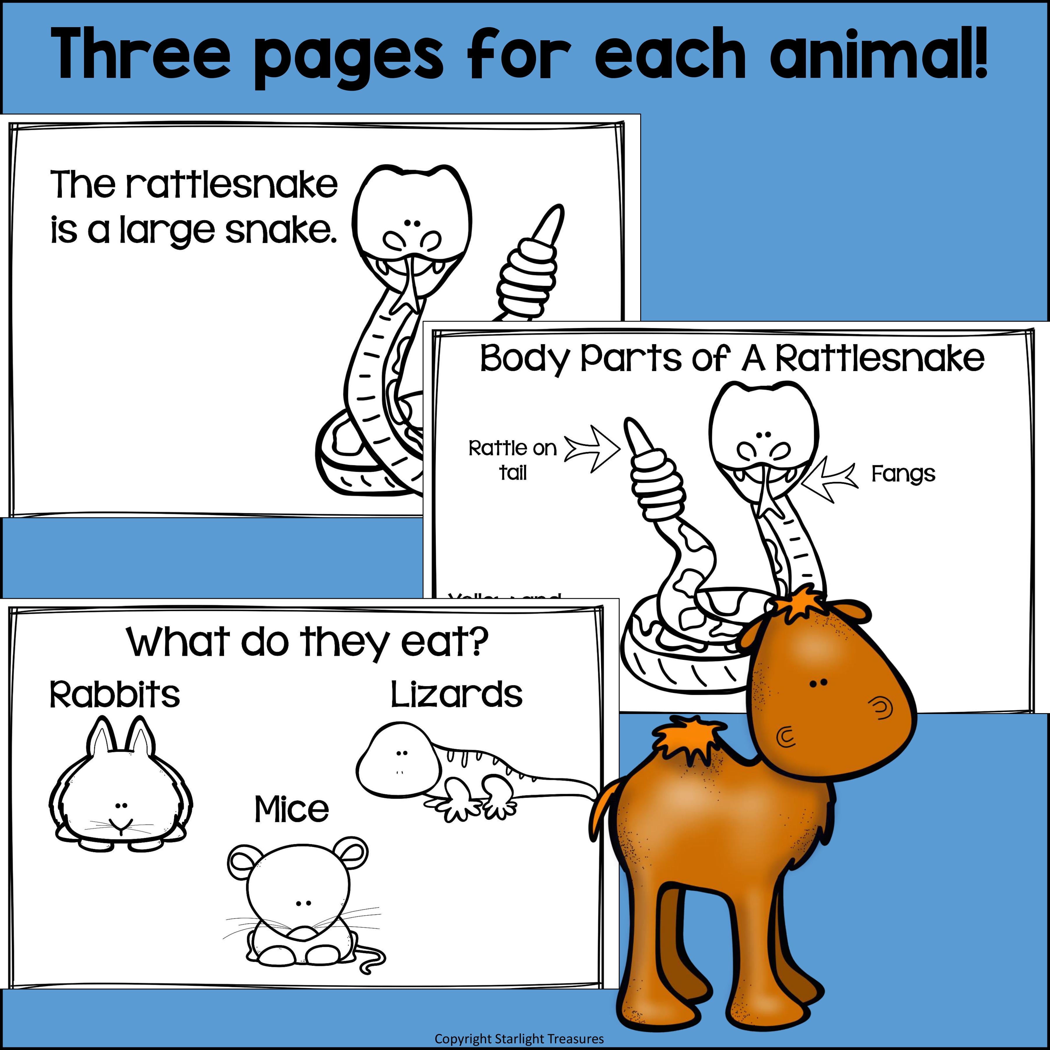 The Desert Mini Book for Early Readers: Desert Animals