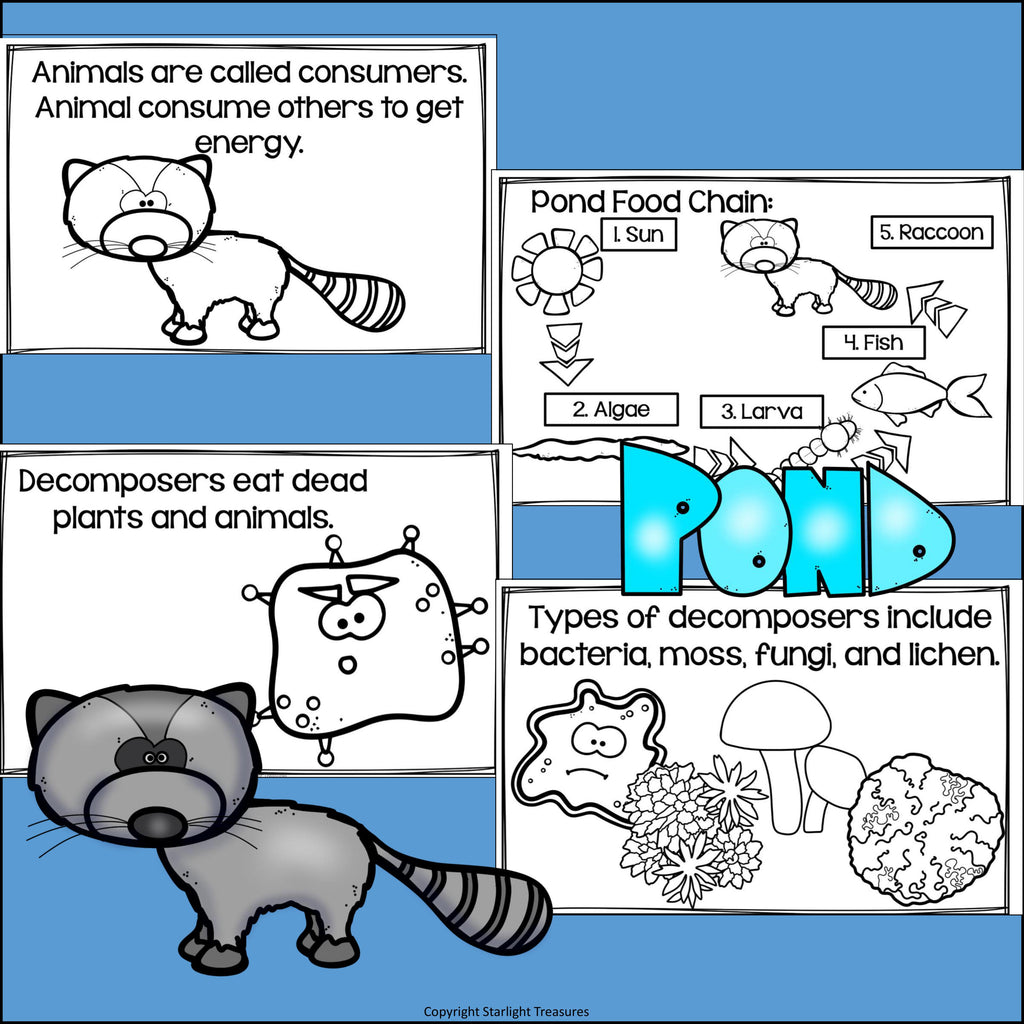 Pond Food Chain Mini Book for Early Readers - Food Chains
