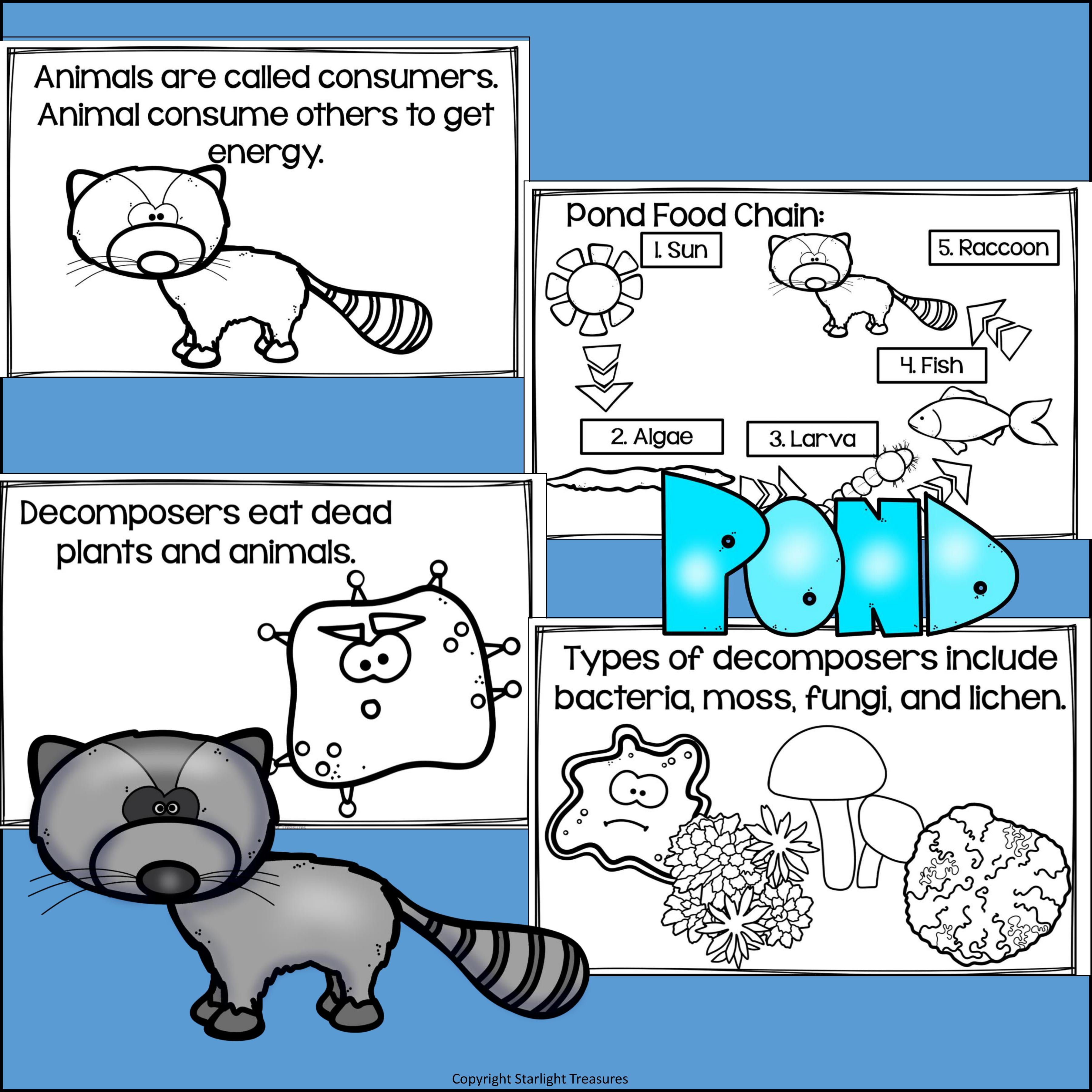 Pond Food Chain Mini Book for Early Readers - Food Chains