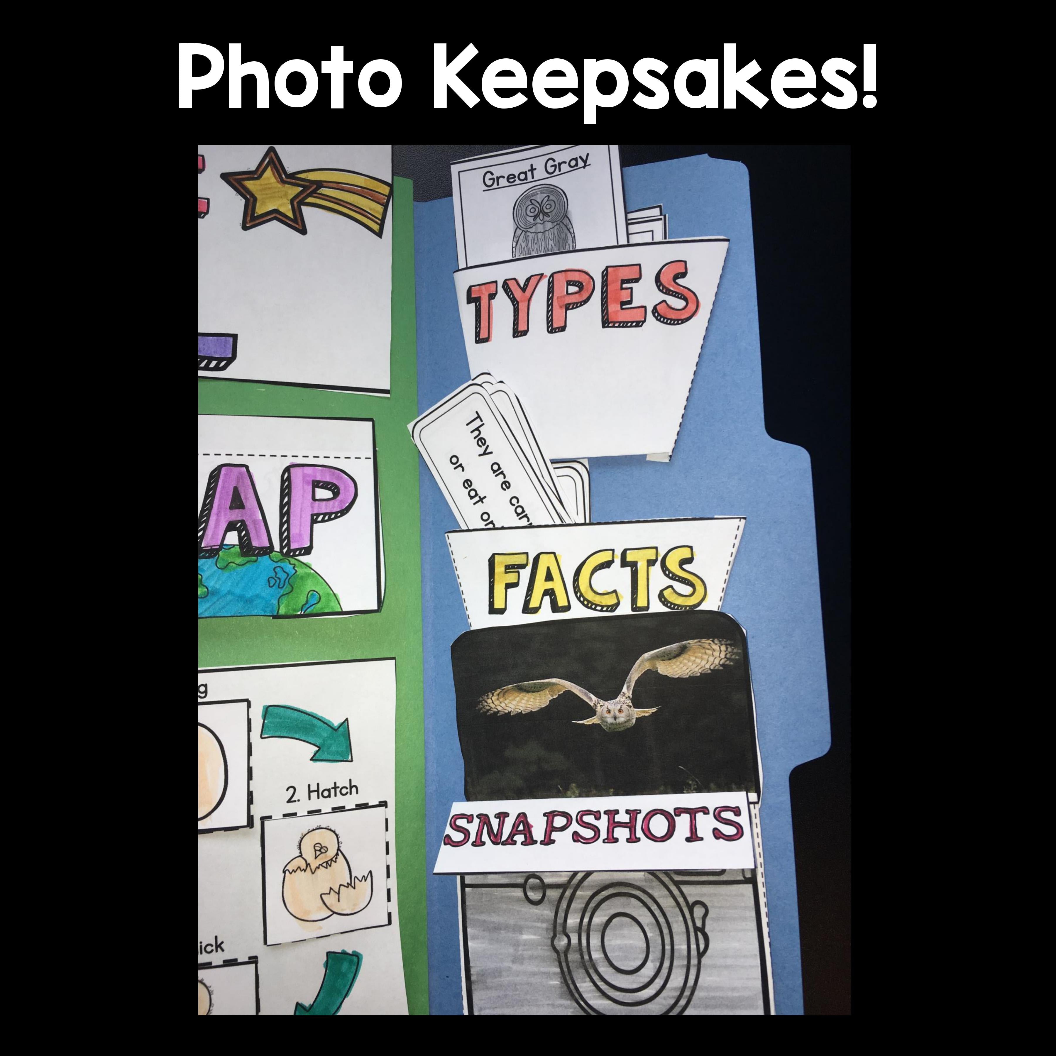 Owls Lapbook for Early Learners 