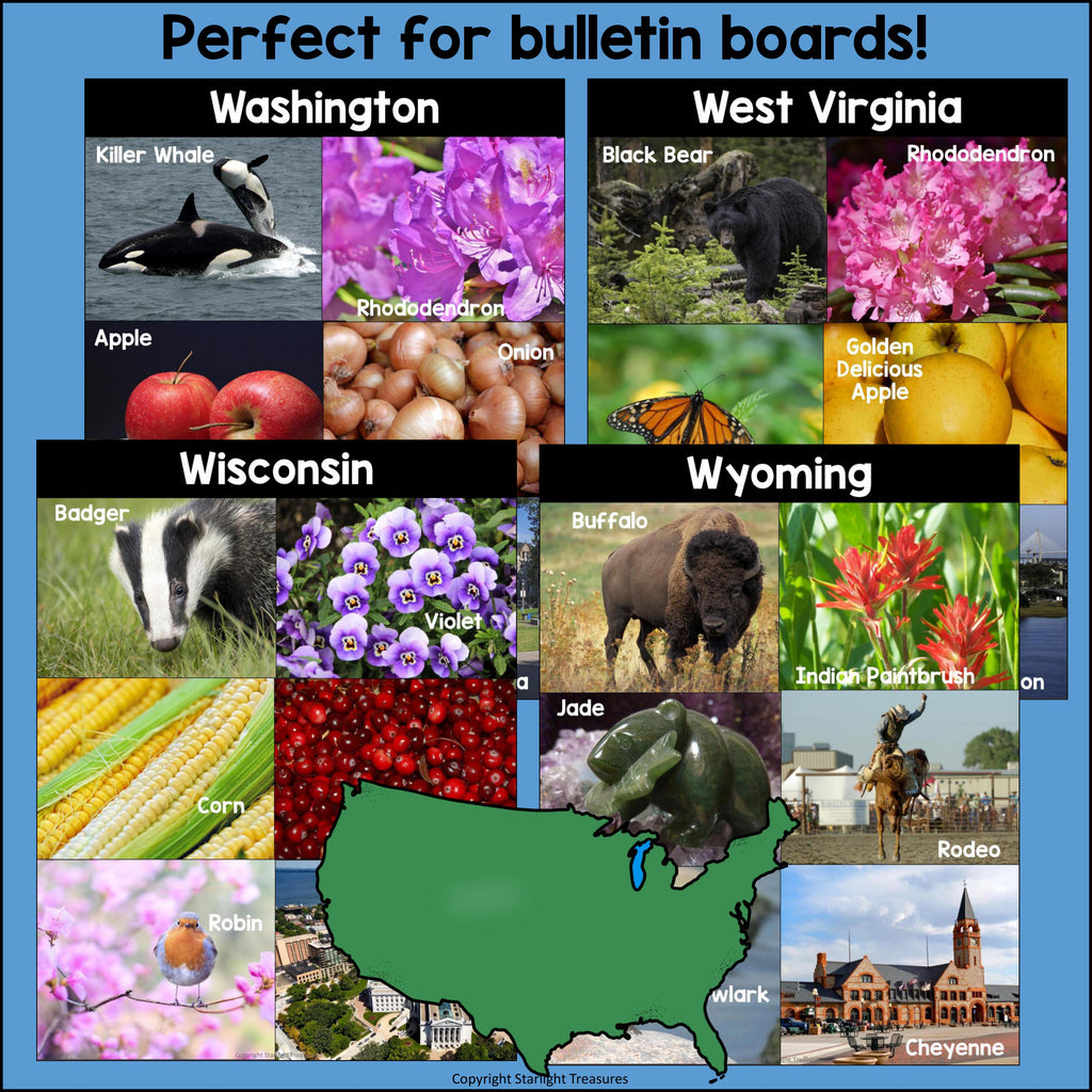 50 states photo post collages