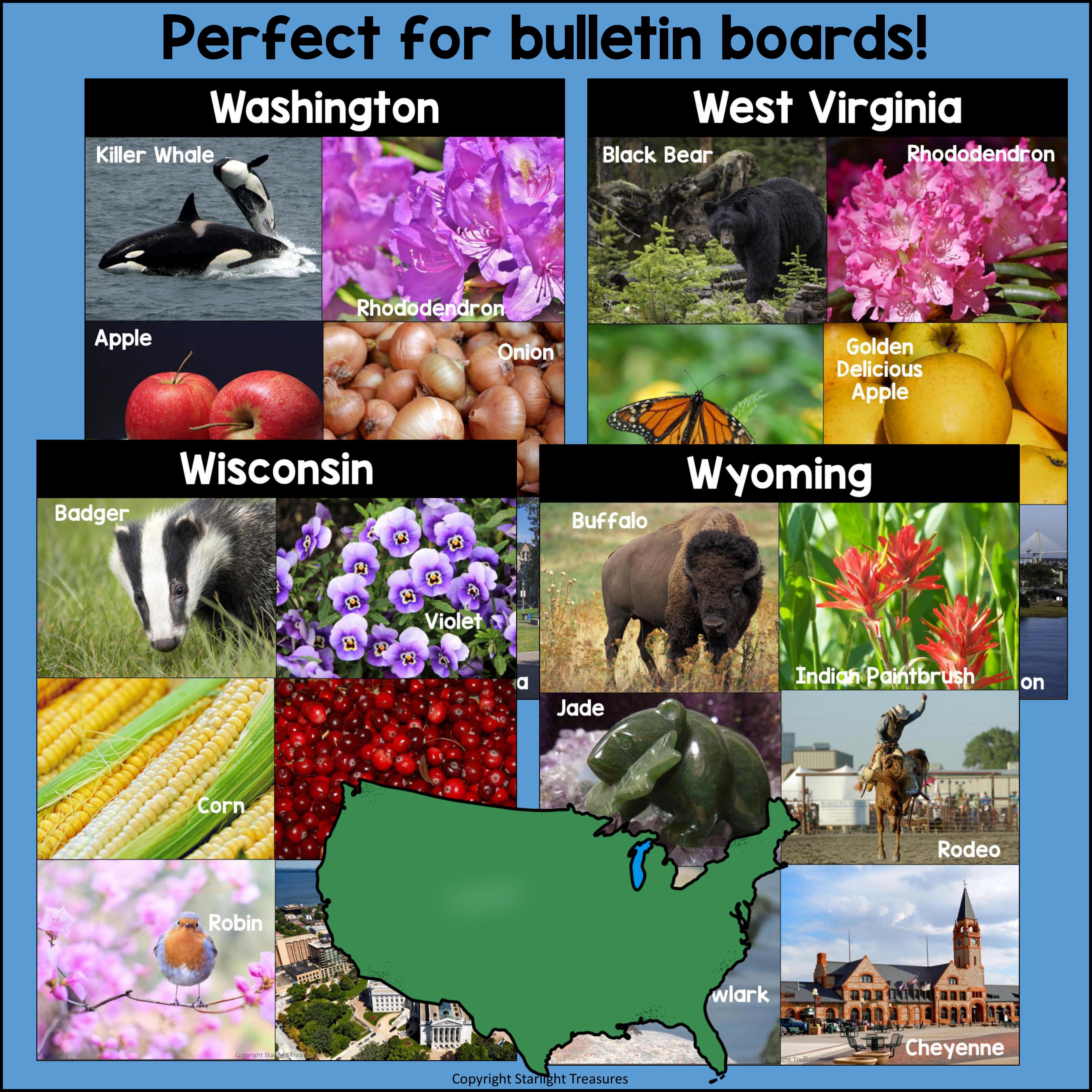 50 states photo post collages
