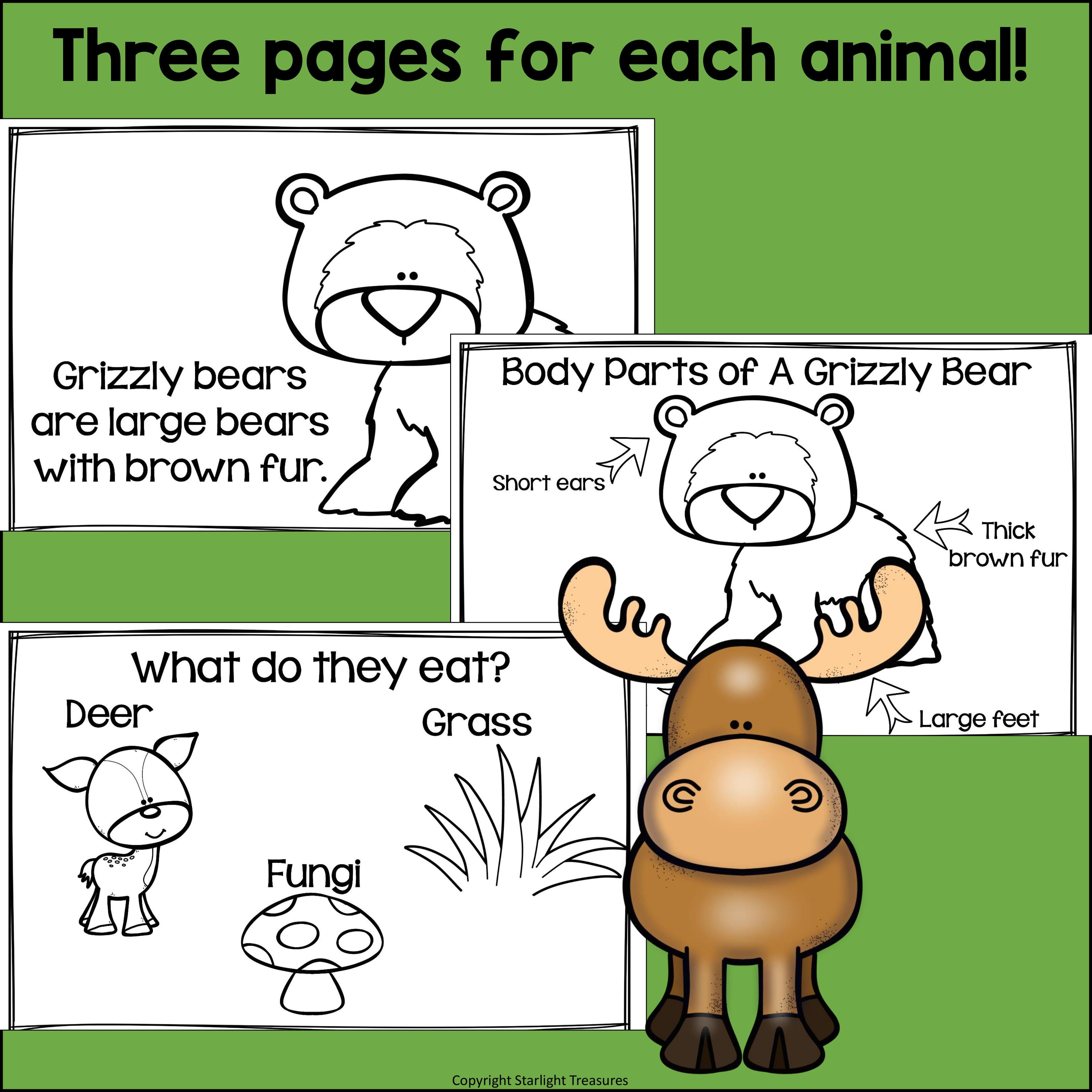 The Forest Mini Book for Early Readers: Forest Animals