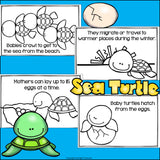 Sea Turtles Mini Book for Early Readers