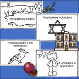 Israel Mini Book for Early Readers - A Country Study