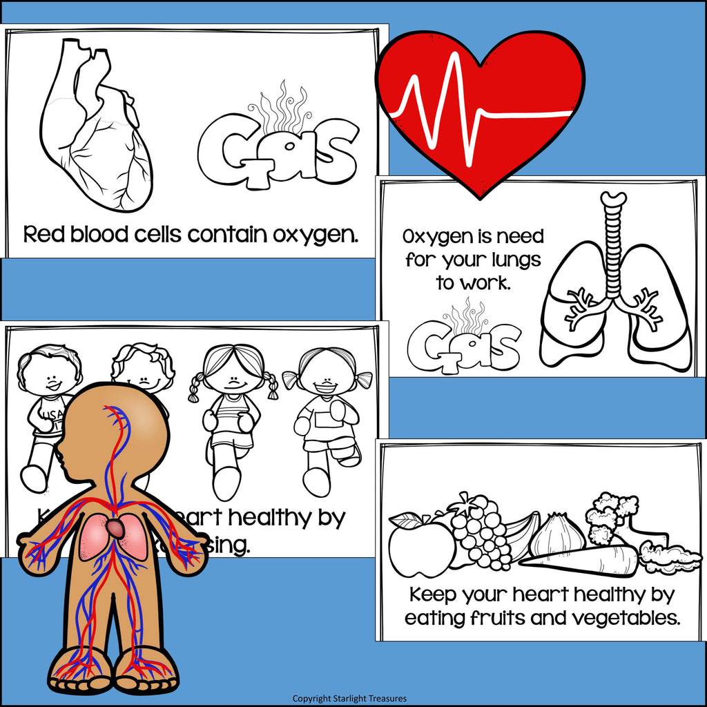 Human Body Systems: Circulatory System Mini Book for Early Readers