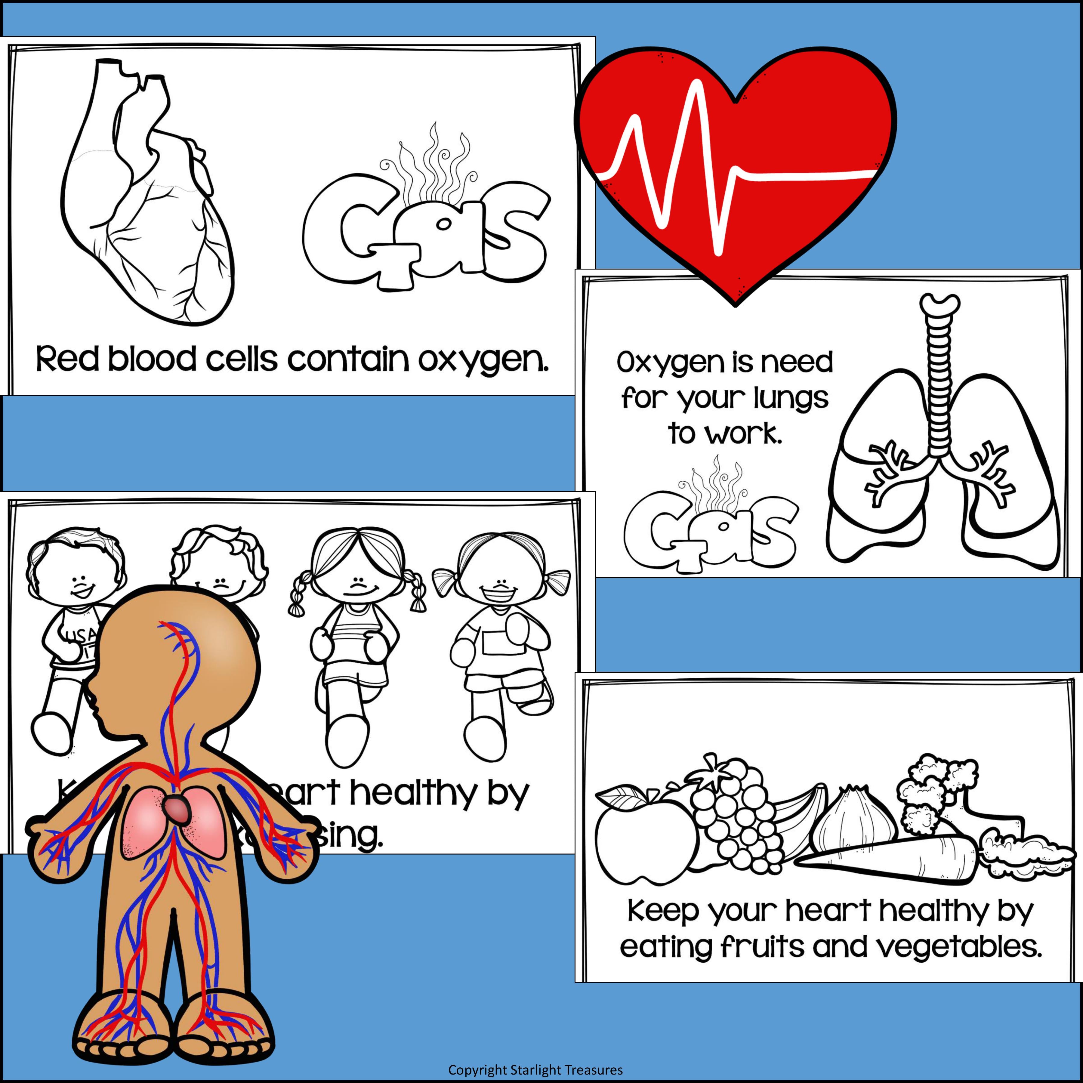 Human Body Systems: Circulatory System Mini Book for Early Readers