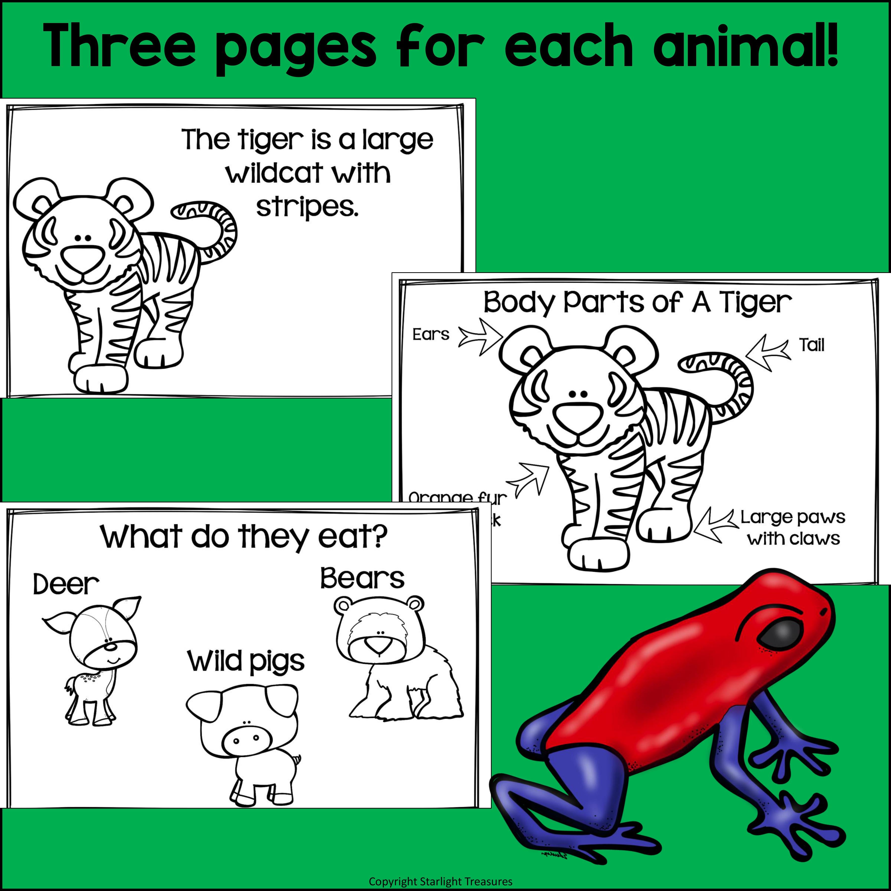 The Rainforest Mini Book for Early Readers: Rainforest Animals