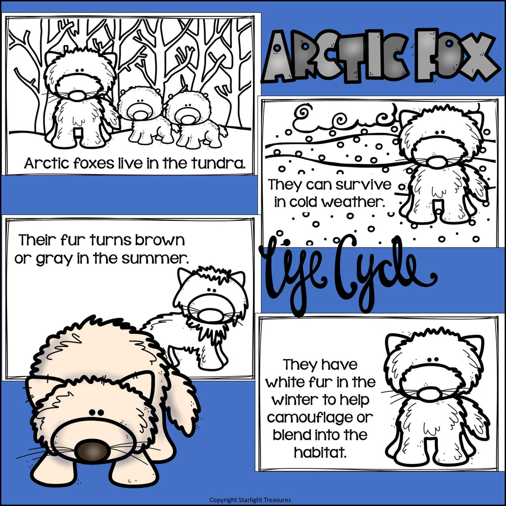 Arctic Fox Mini Book for Early Readers