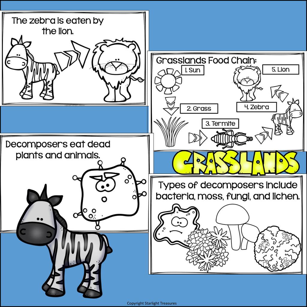 Grasslands Food Chain Mini Book for Early Readers - Food Chains