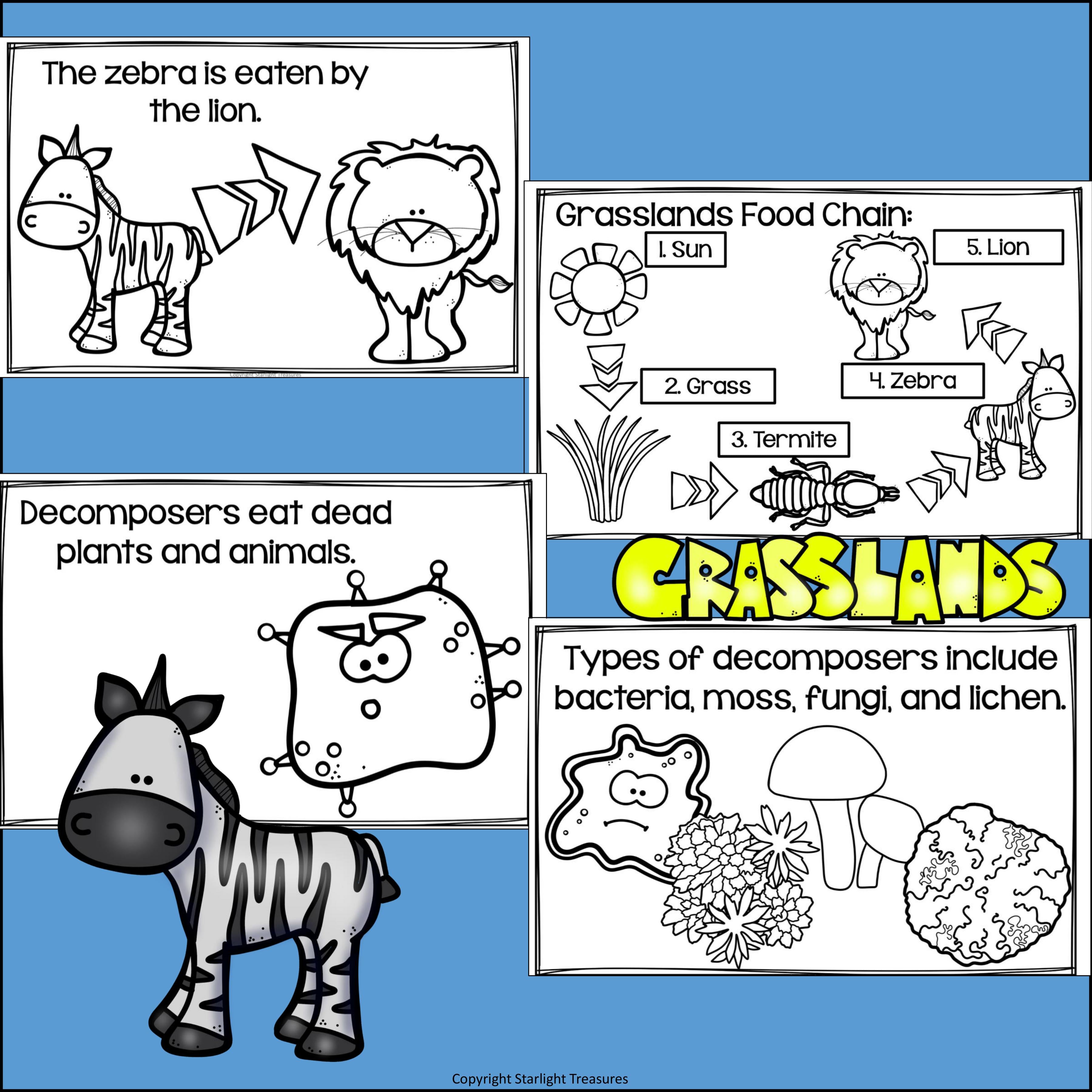Grasslands Food Chain Mini Book for Early Readers - Food Chains