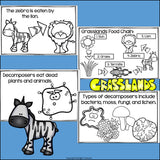Grasslands Food Chain Mini Book for Early Readers - Food Chains