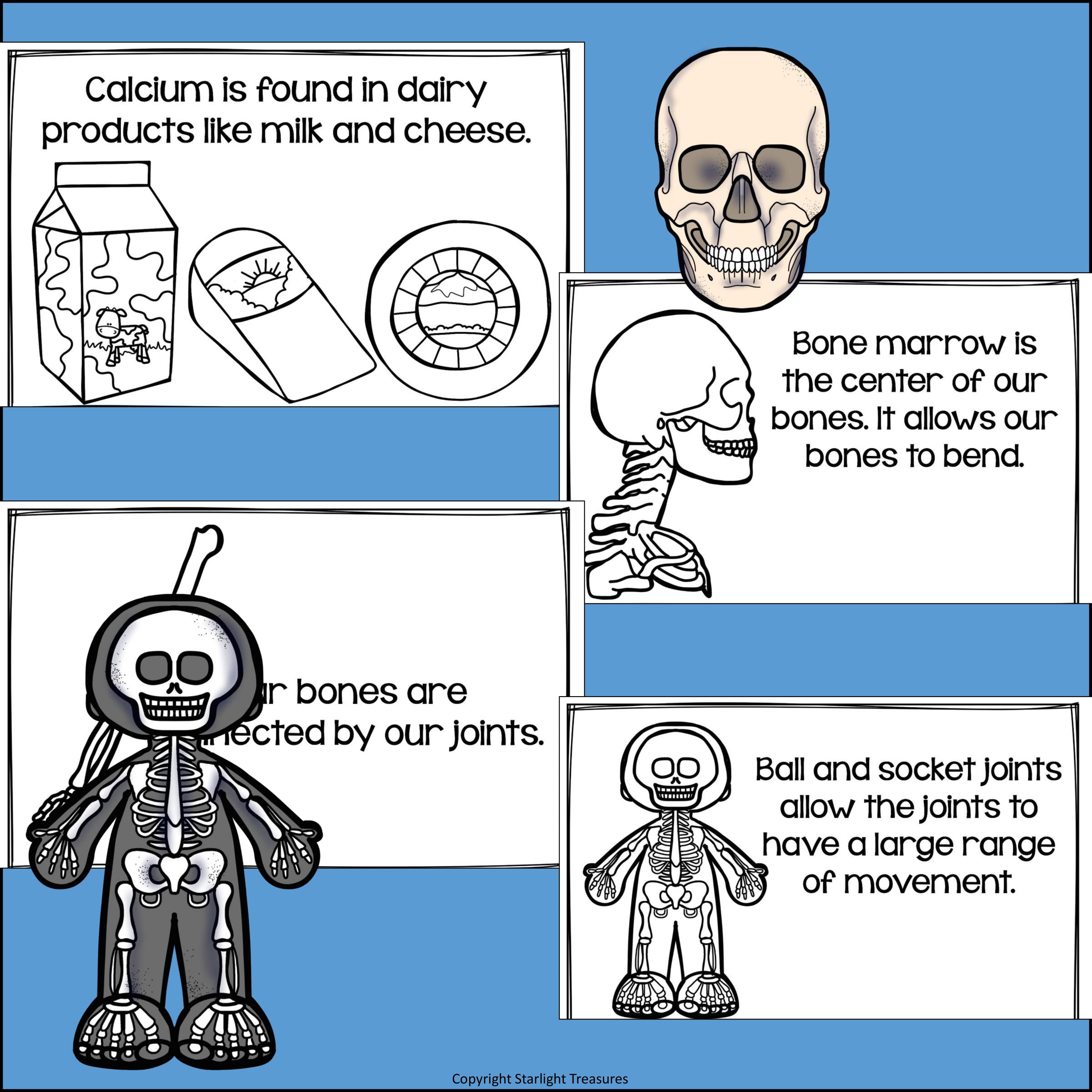 Human Body Systems: Skeletal System Mini Book for Early Readers