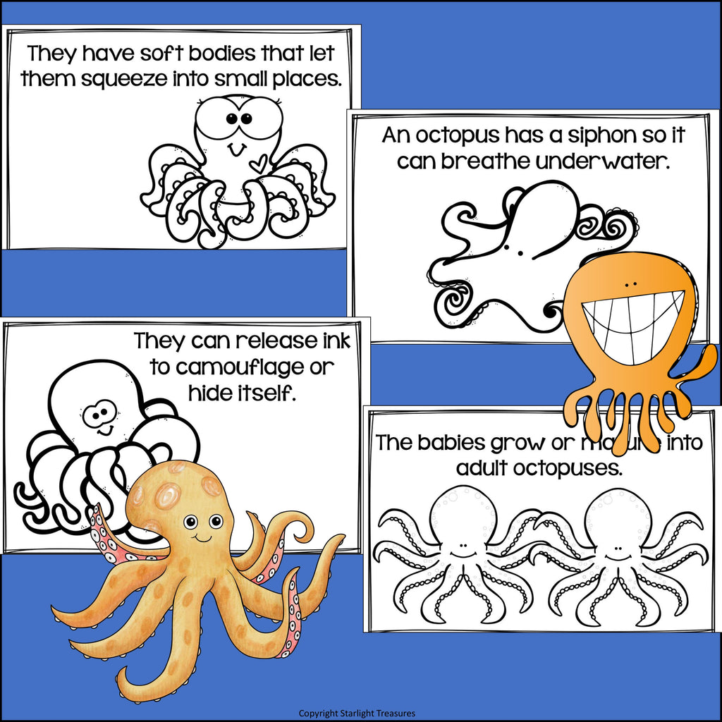 Octopus Mini Book for Early Readers