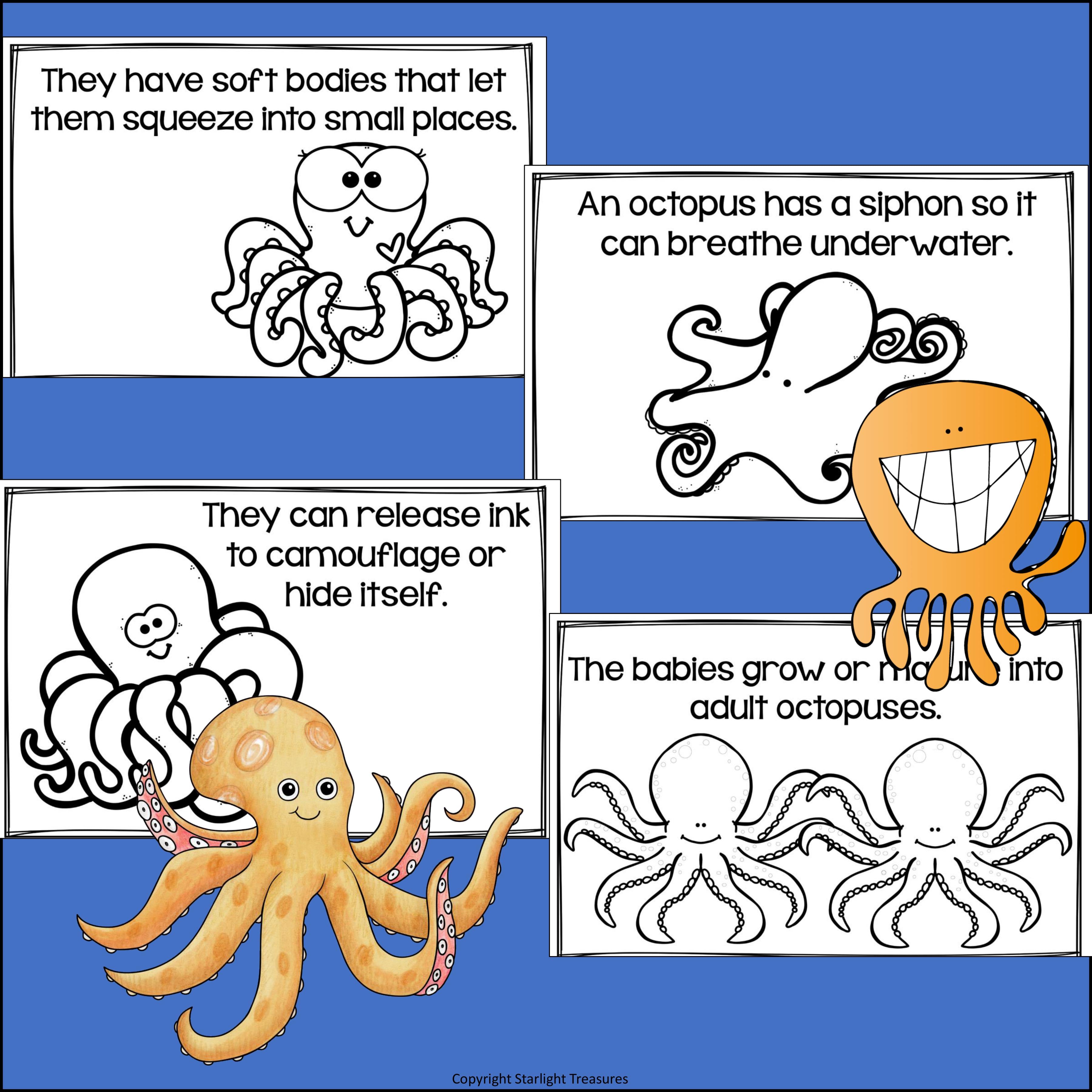 Octopus Mini Book for Early Readers