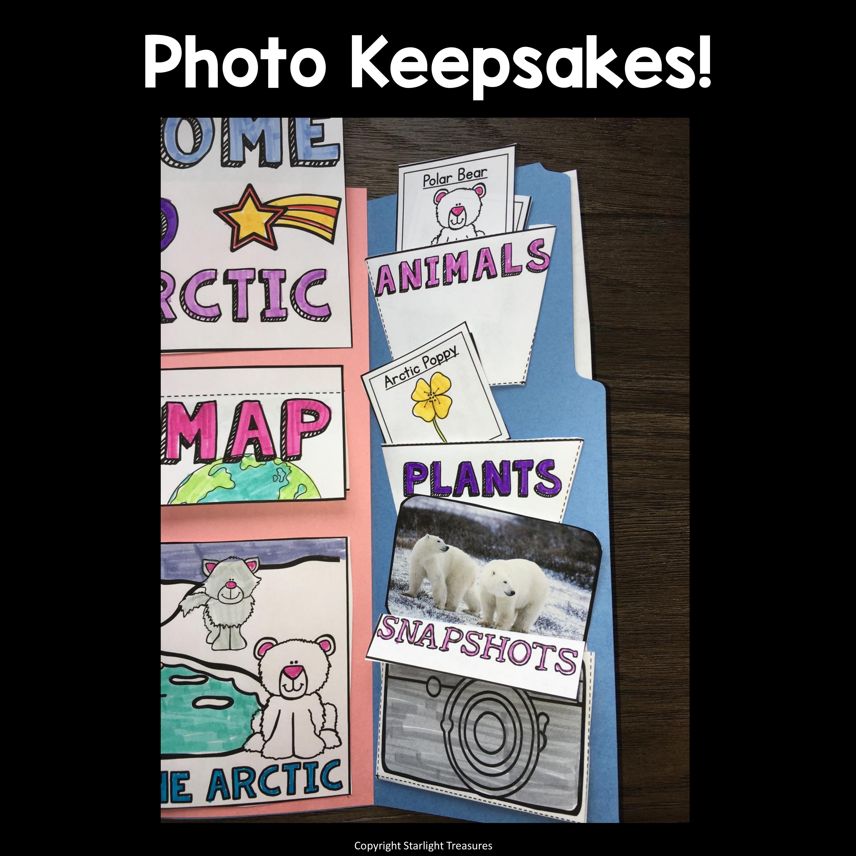 Arctic Lapbook for Early Learners - Animal Habitats