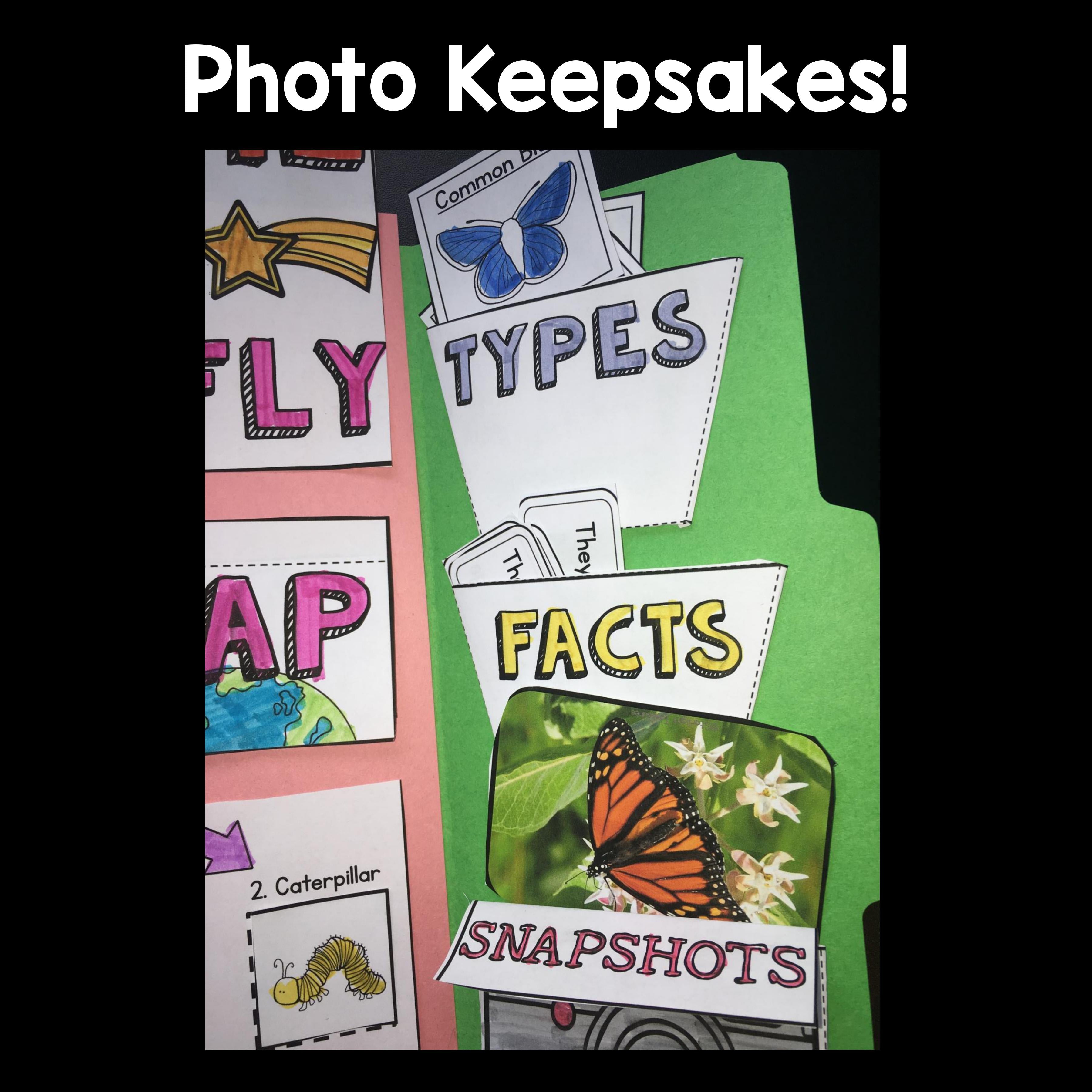 Butterflies Lapbook for Early Learners 